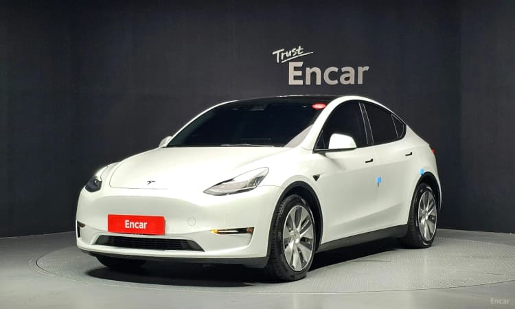 Model Y