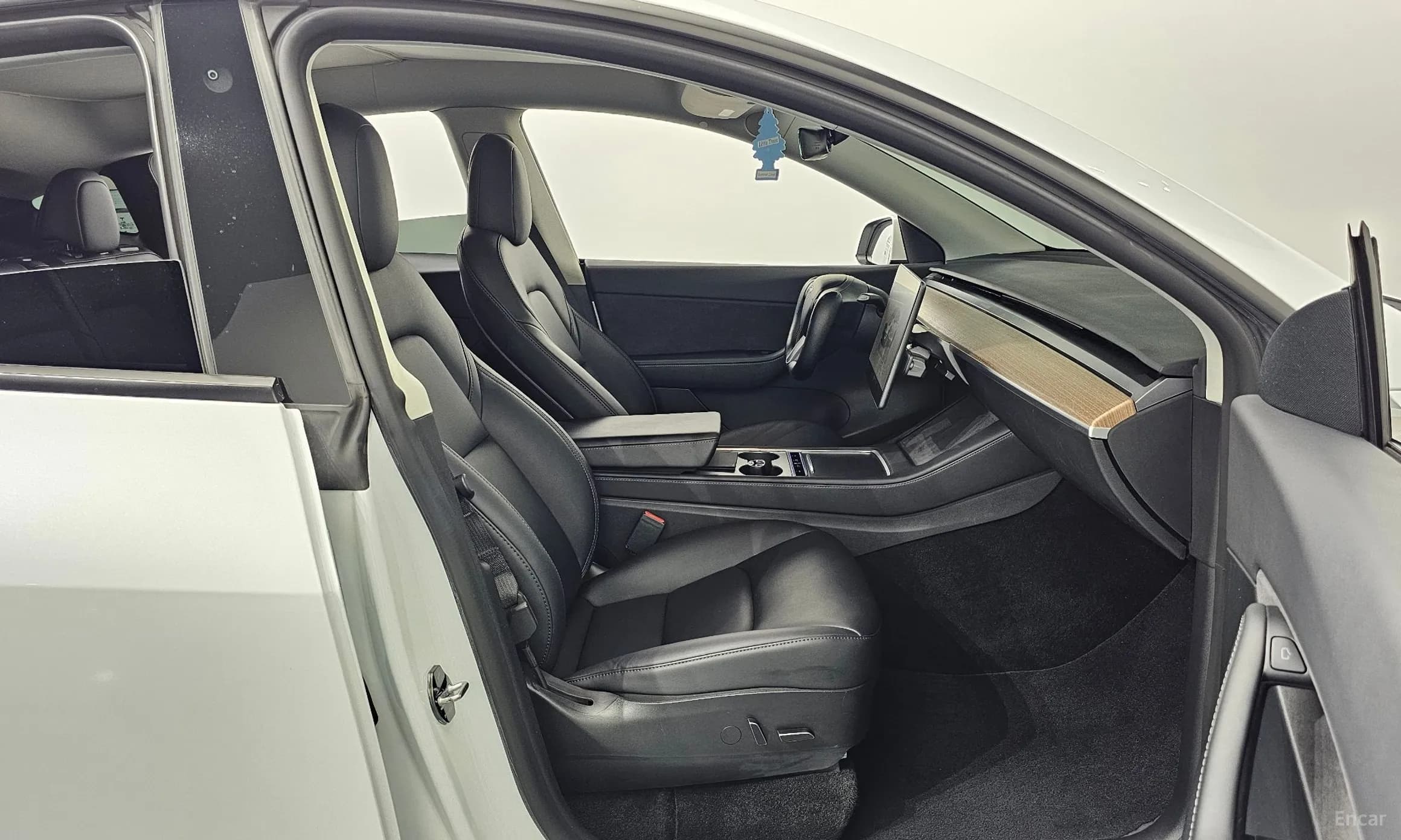 Model Y