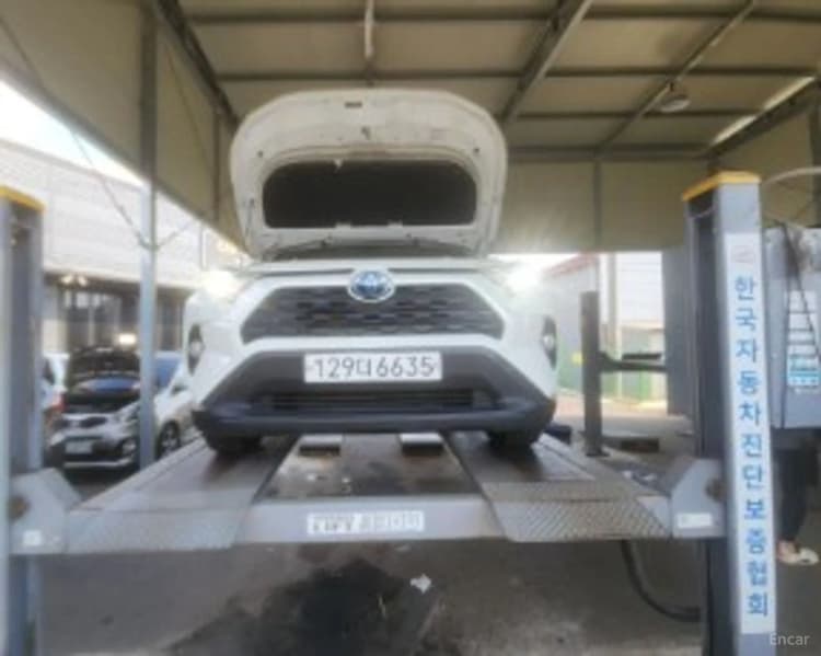 RAV4 5th Generation