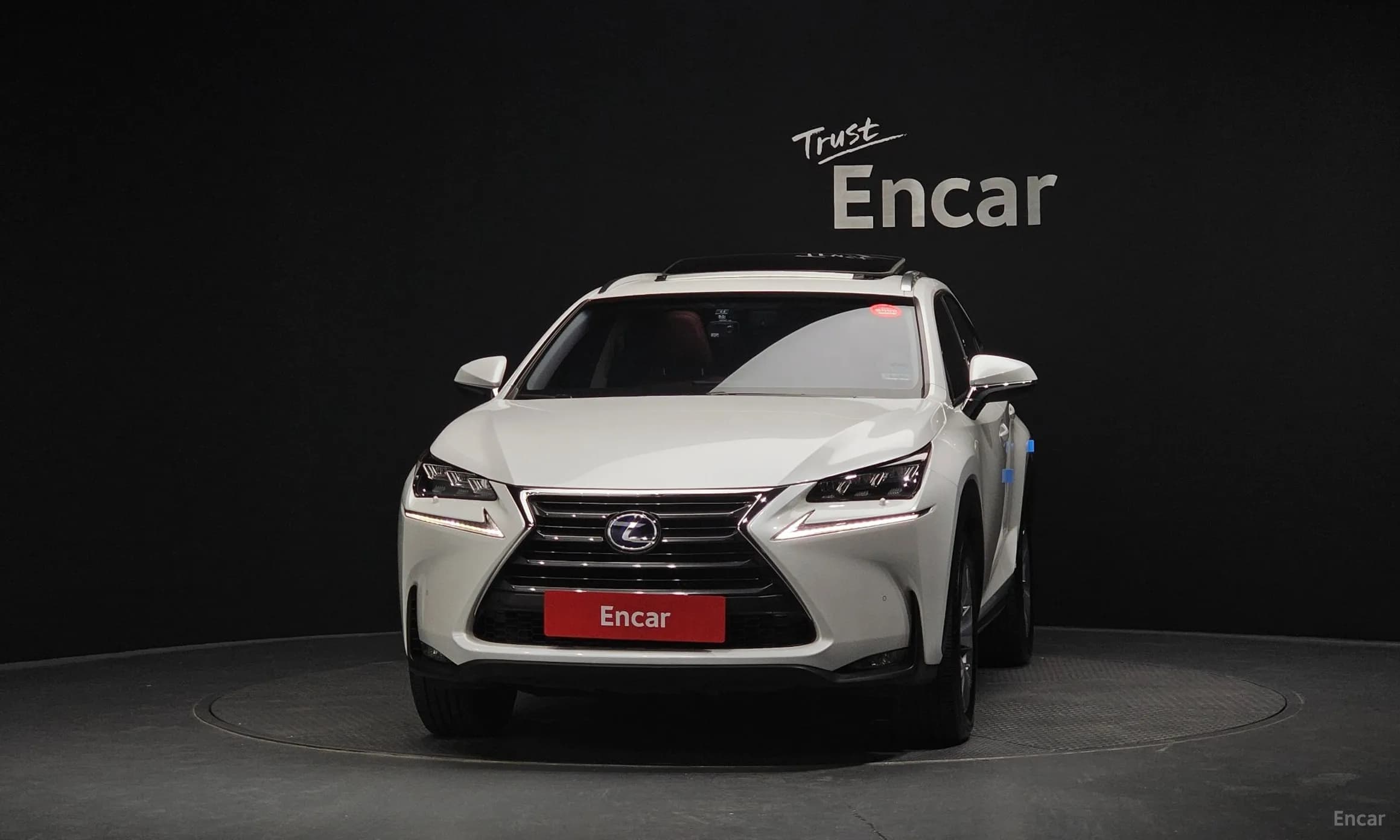 NX300h