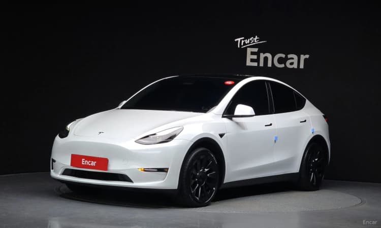 Model Y