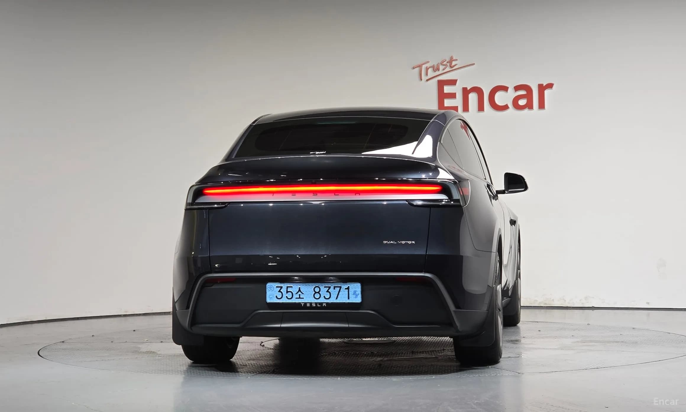 Model Y