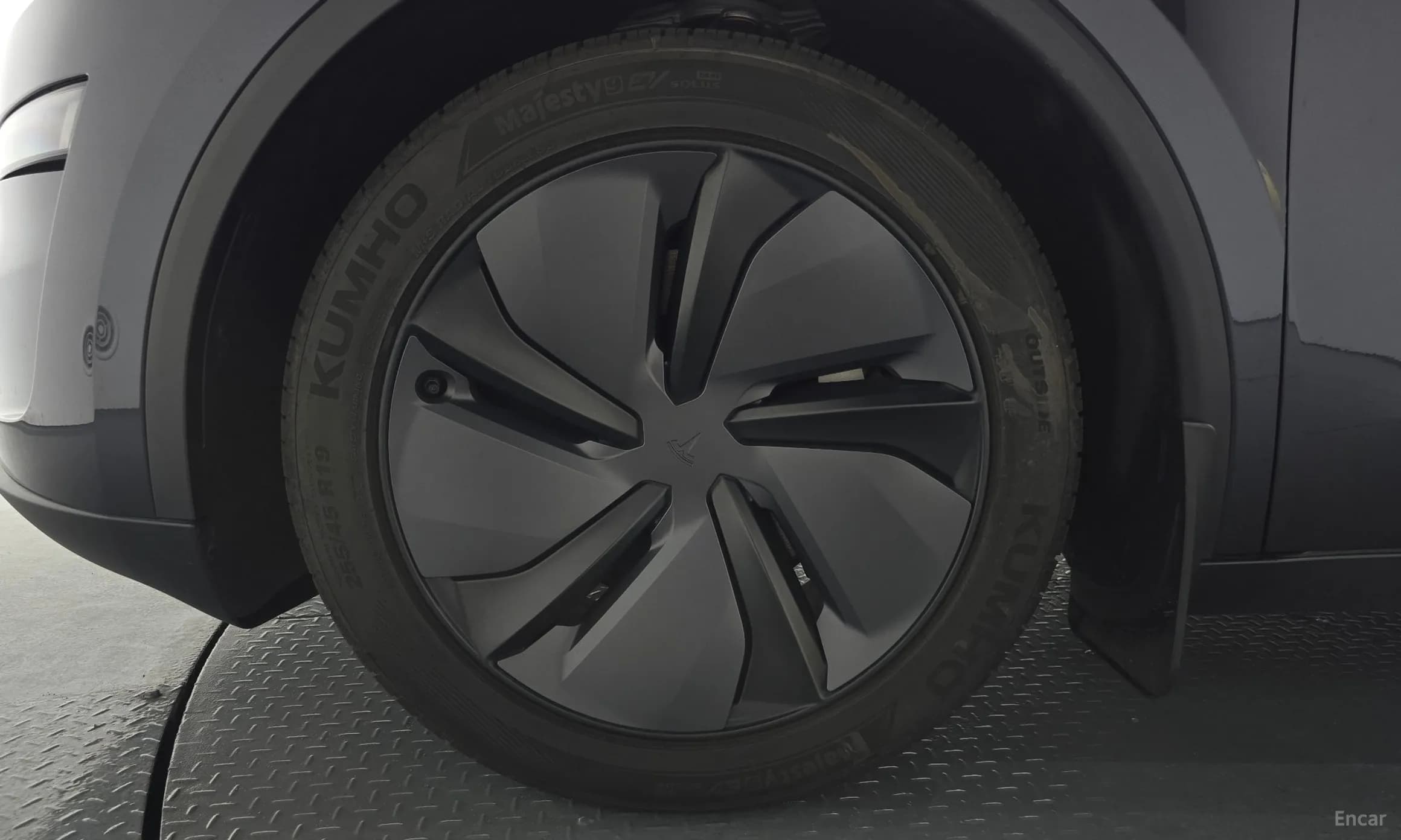 Model Y