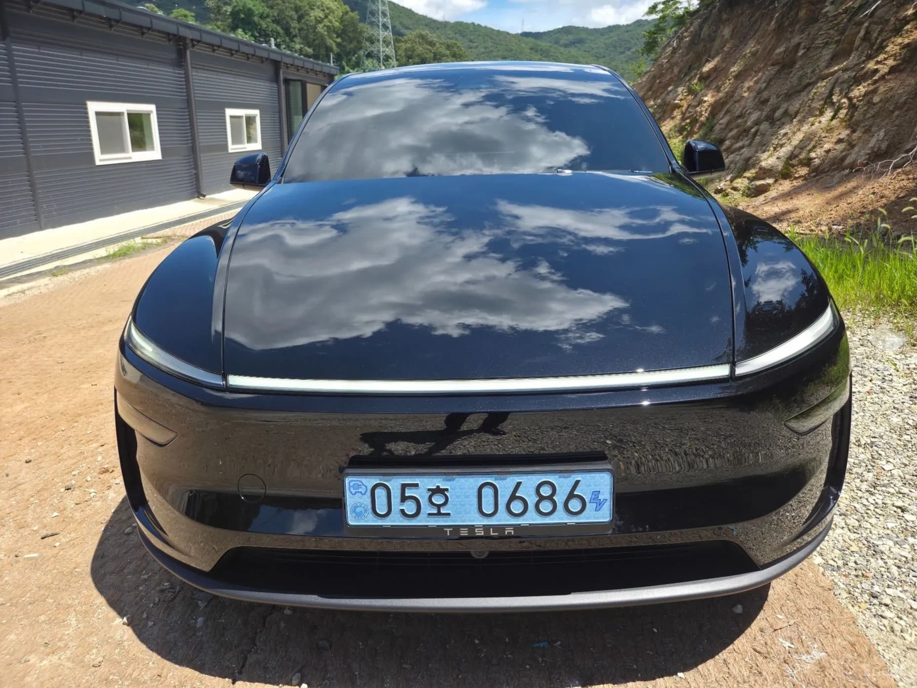 Model Y