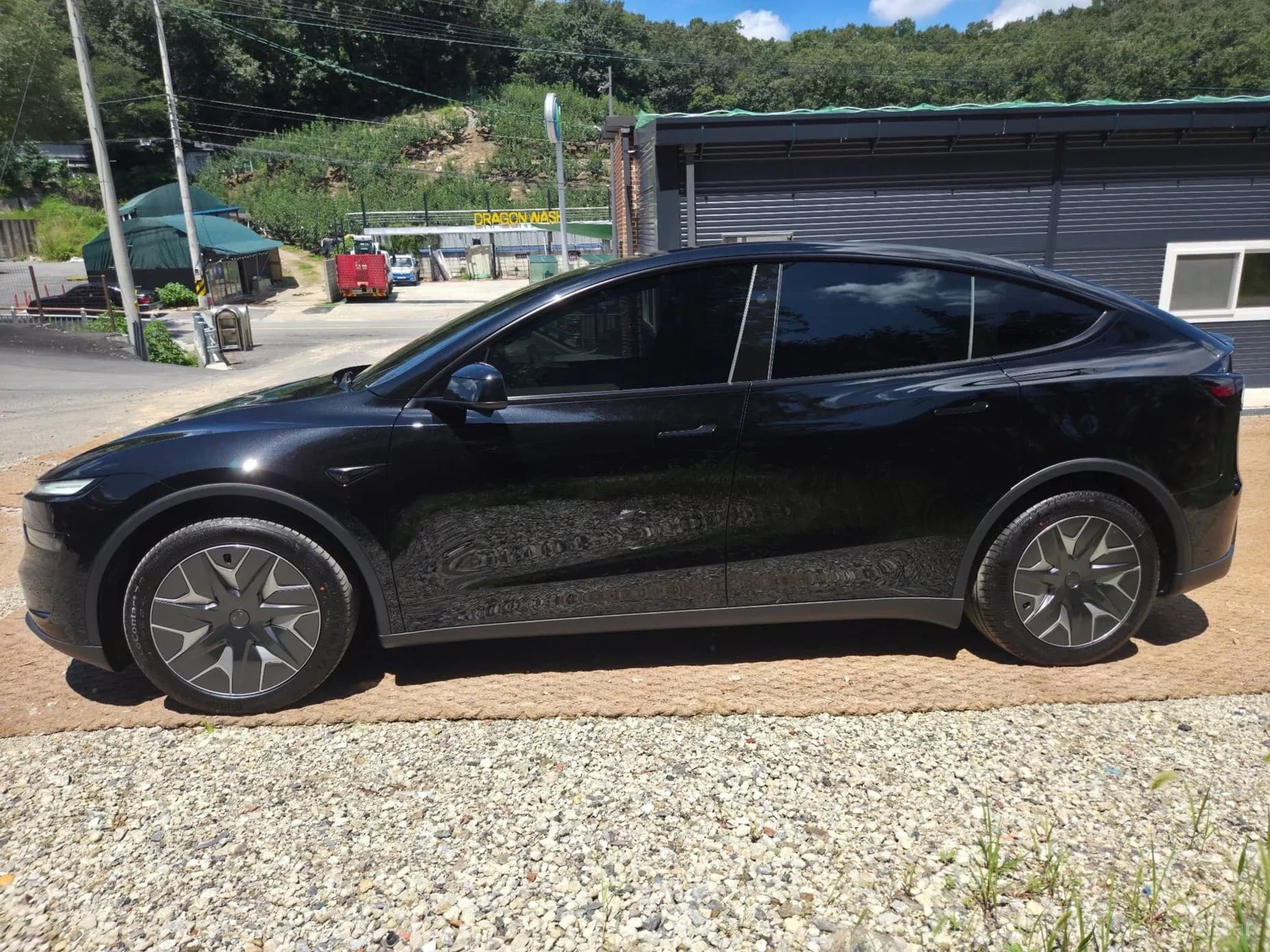 Model Y