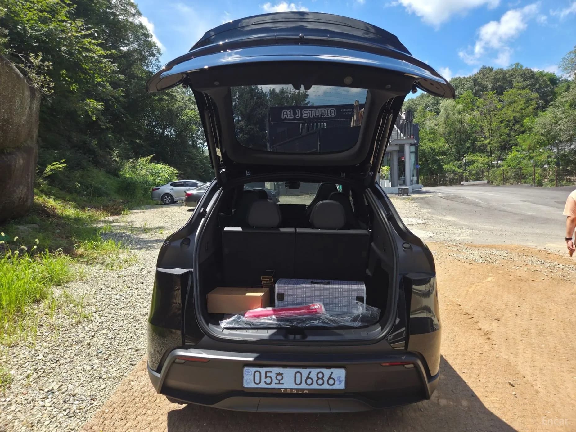 Model Y
