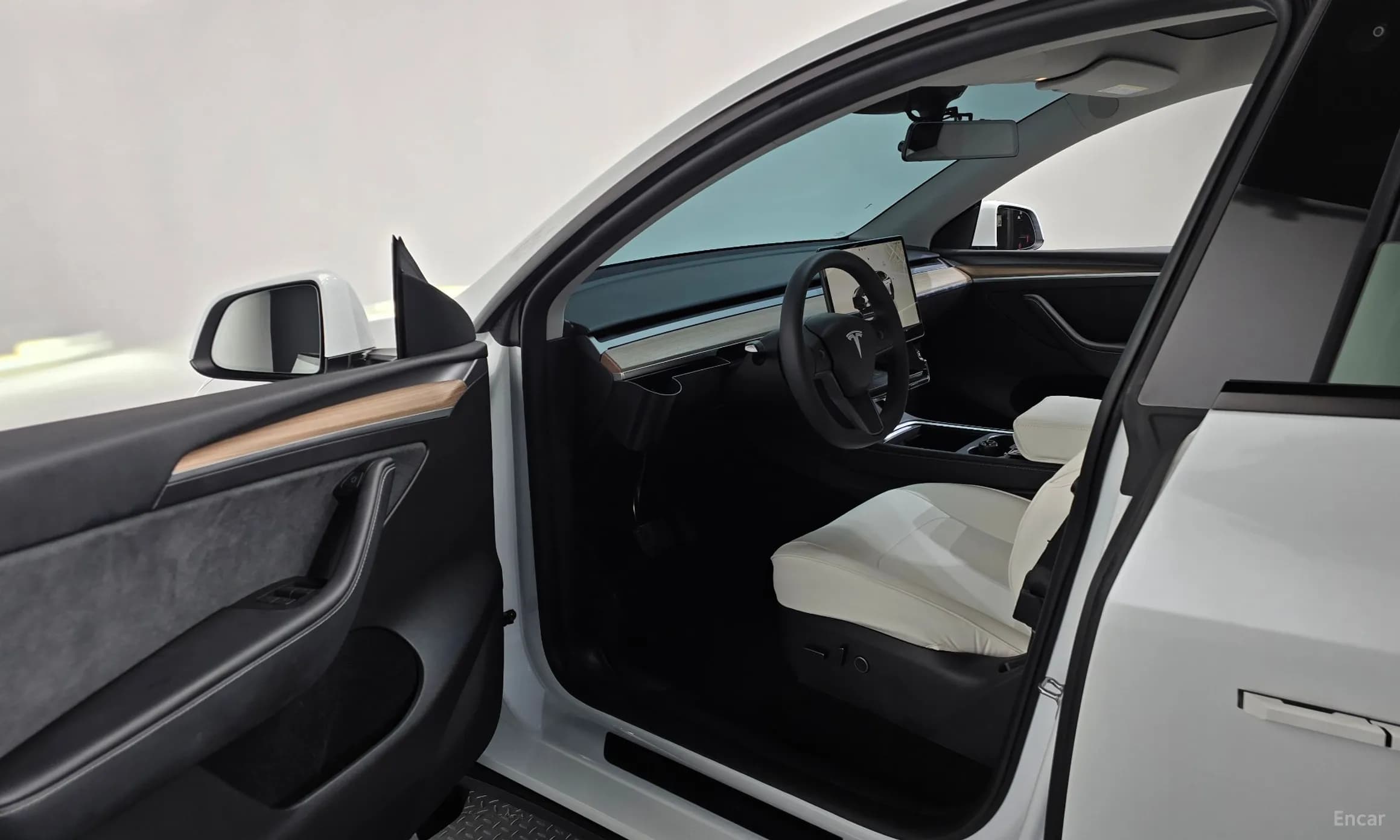 Model Y