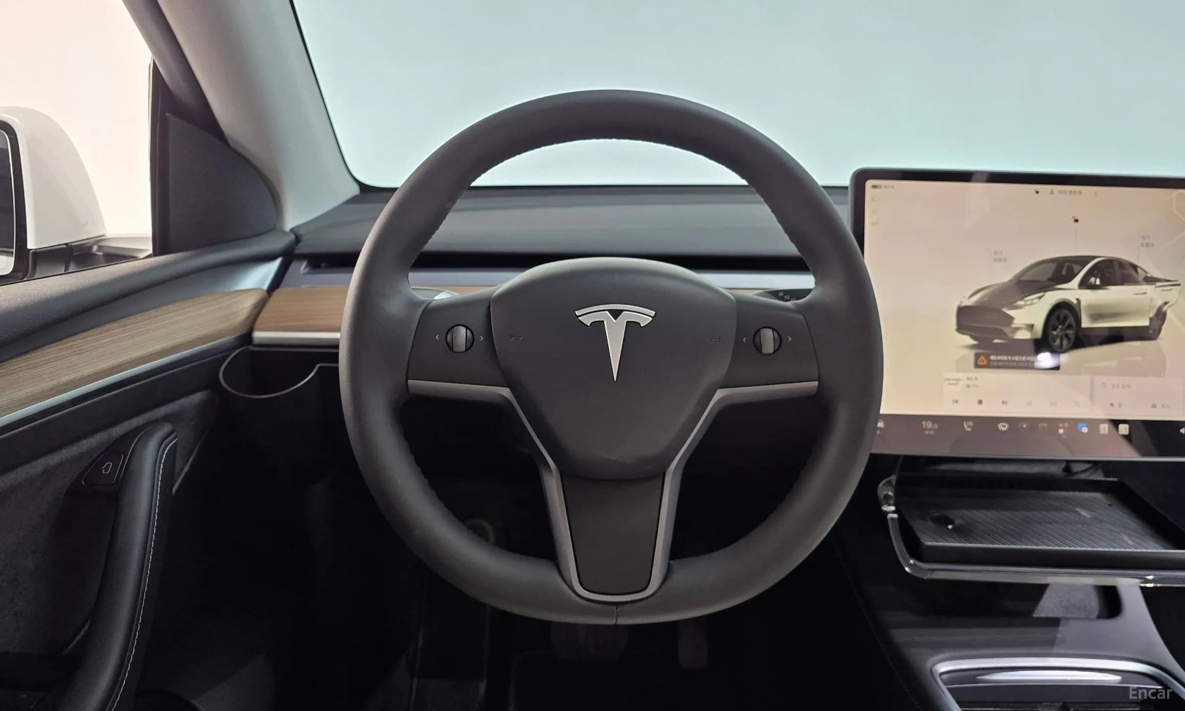 Model Y