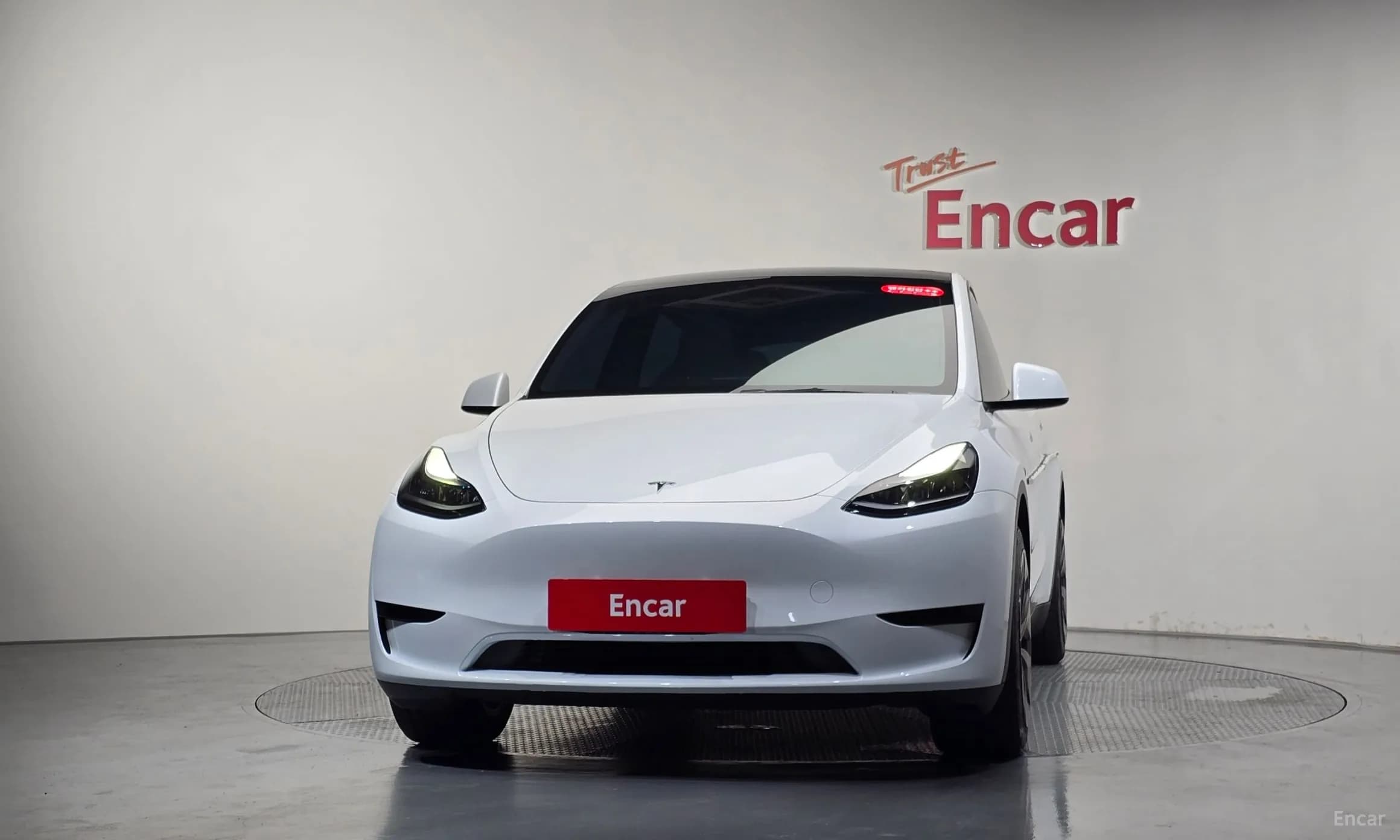 Model Y