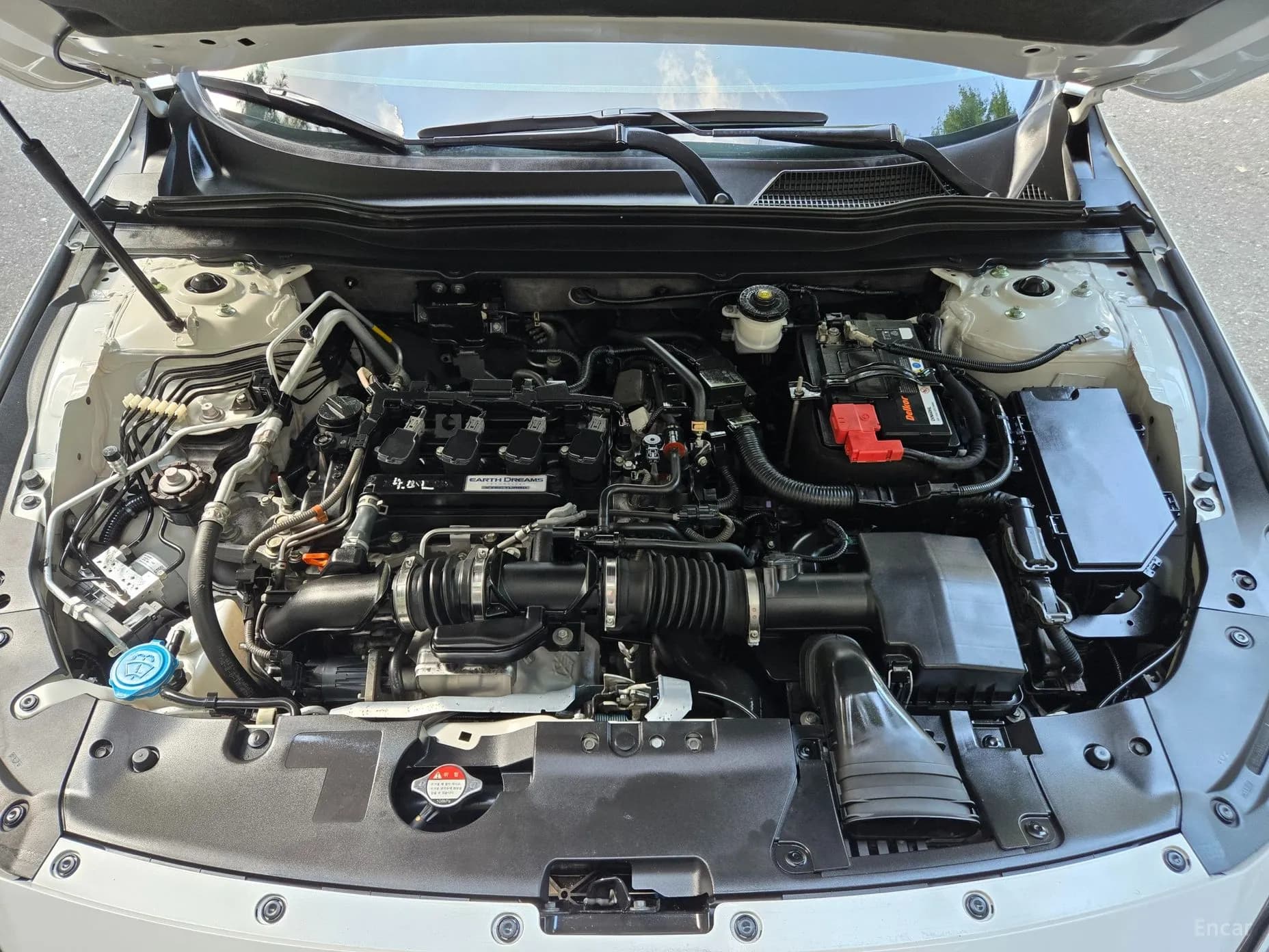 Accord 10th Generation