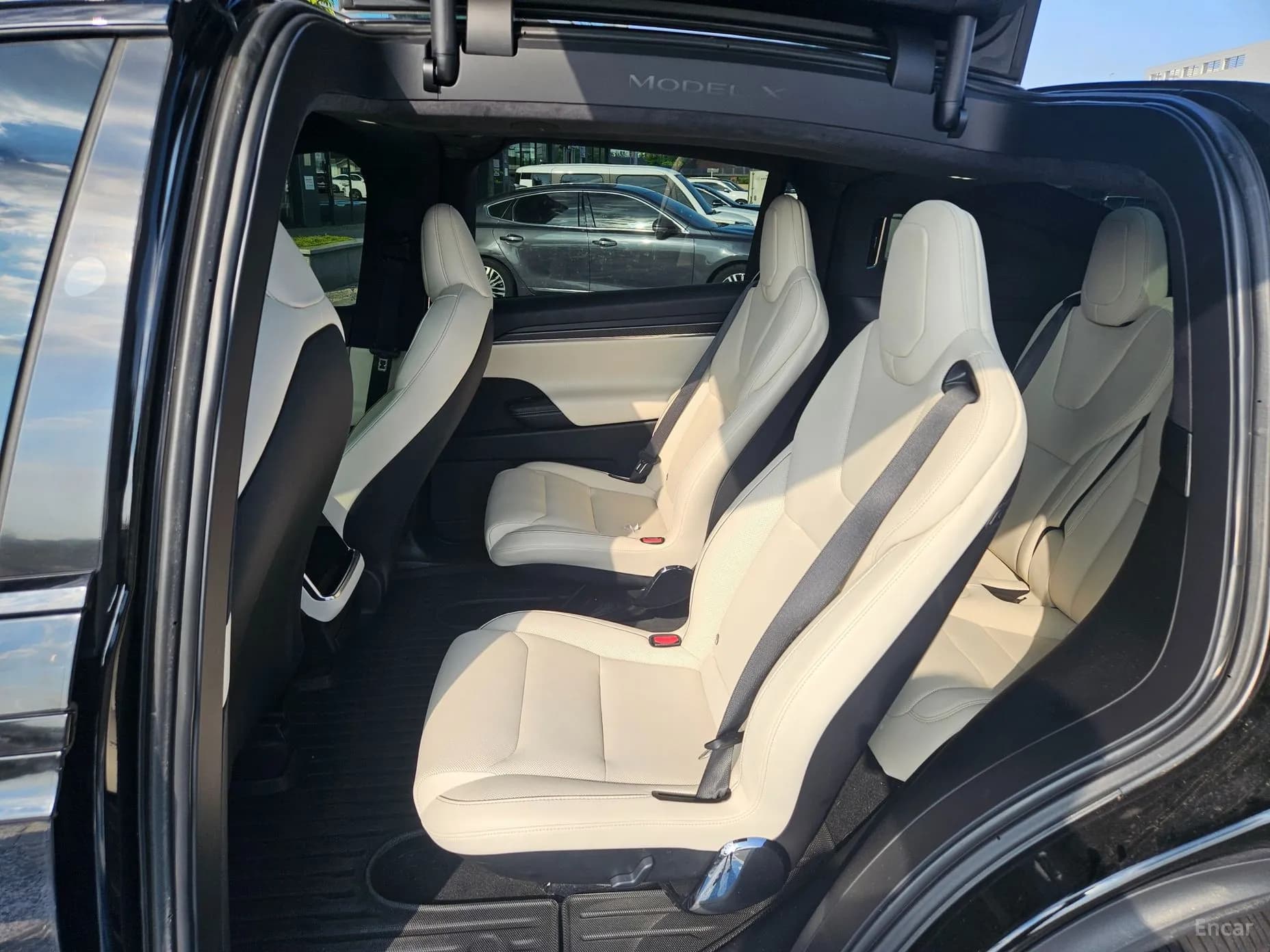 Model X