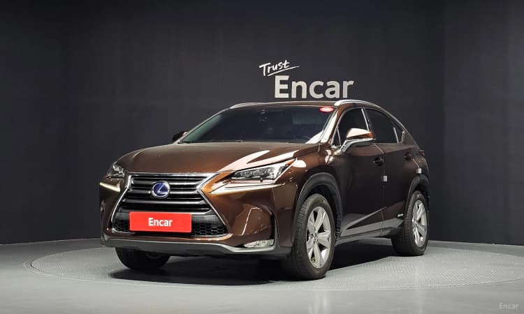 NX300h