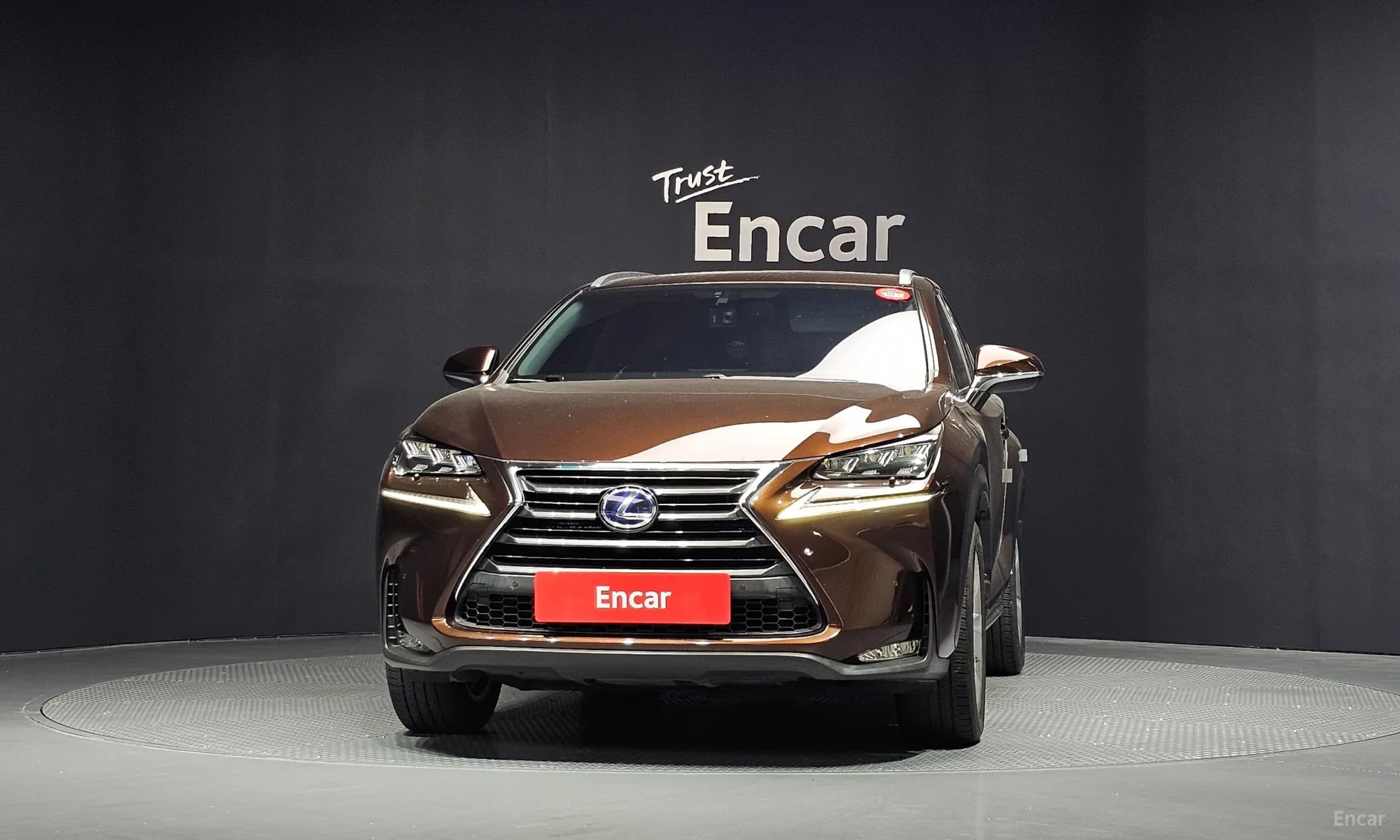 NX300h