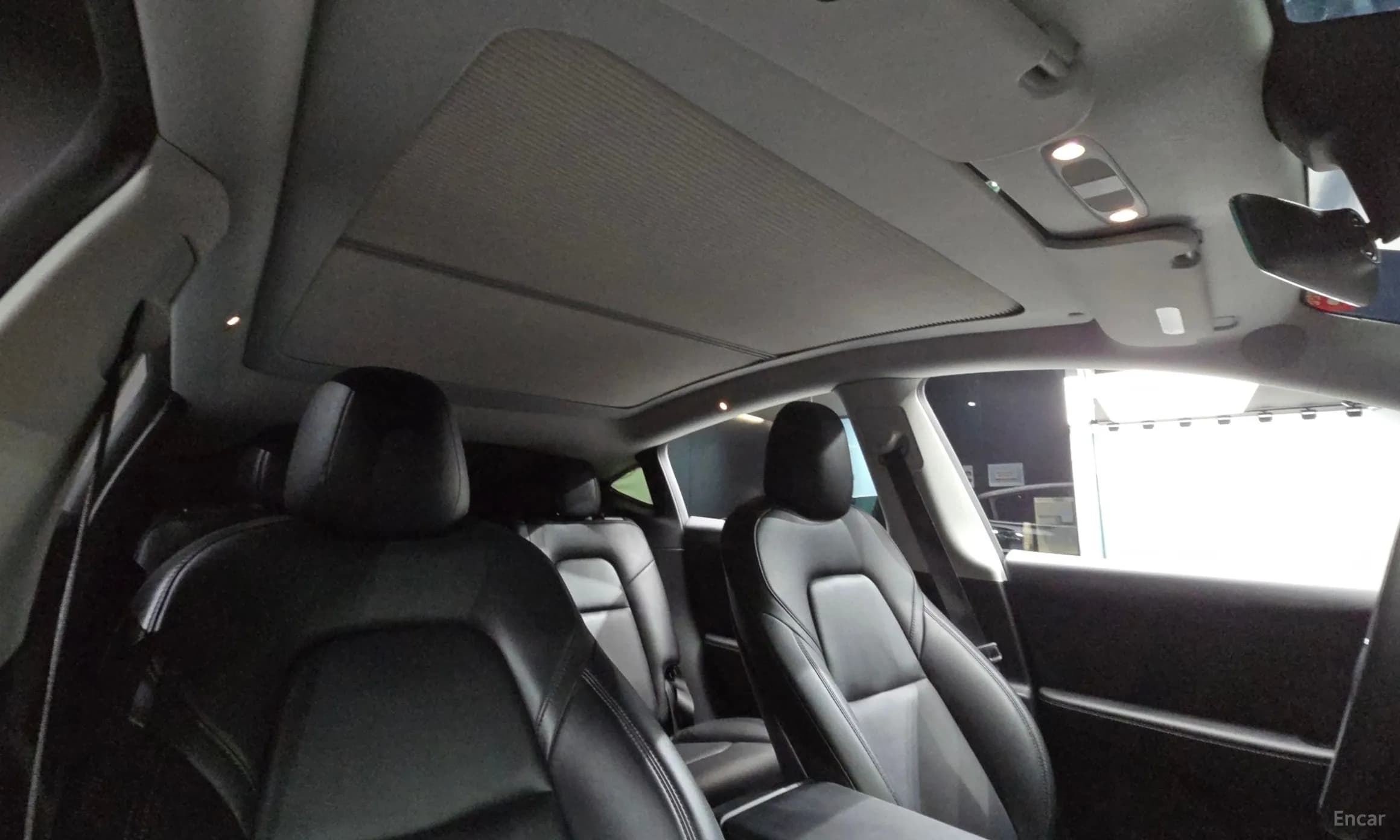 Model Y