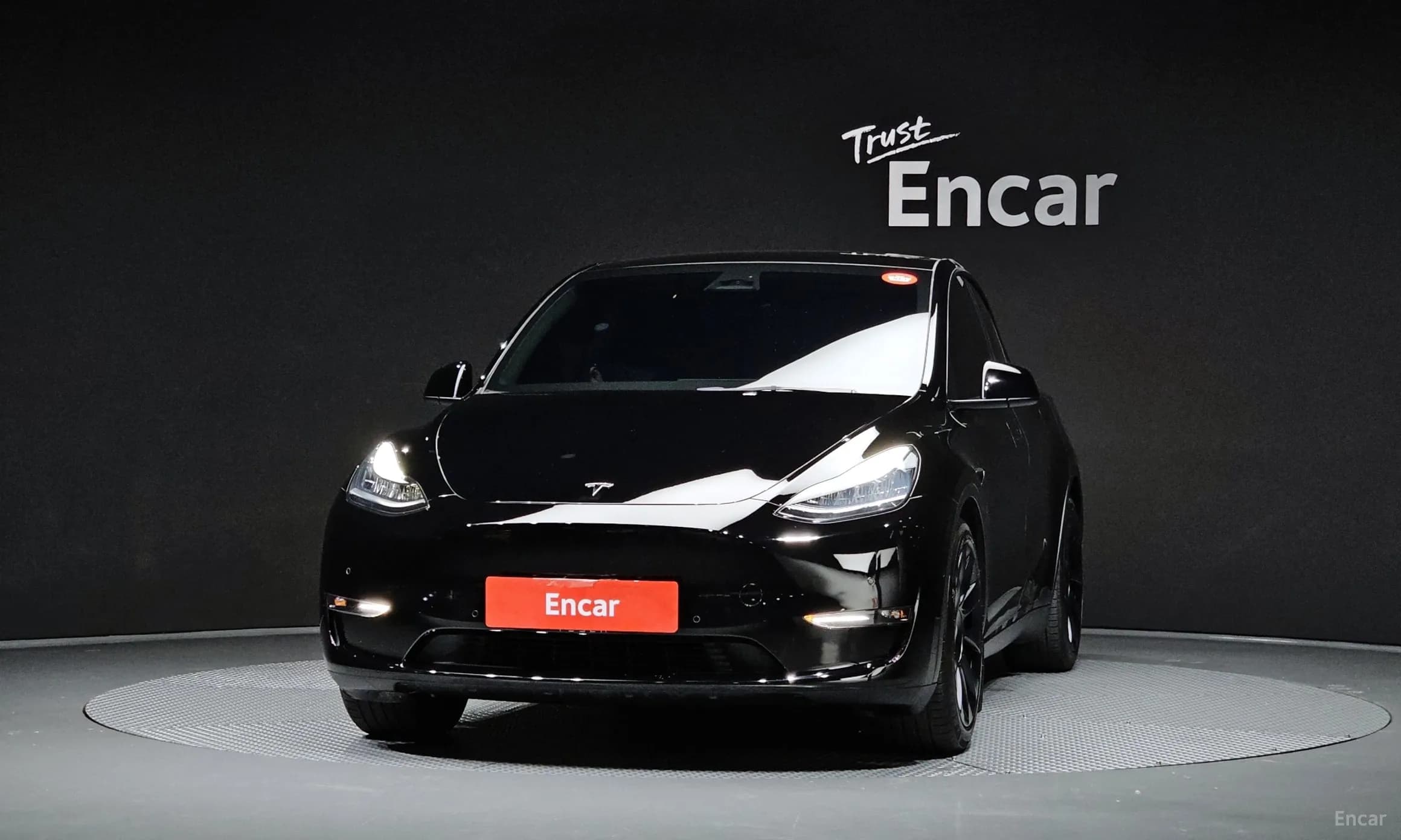 Model Y