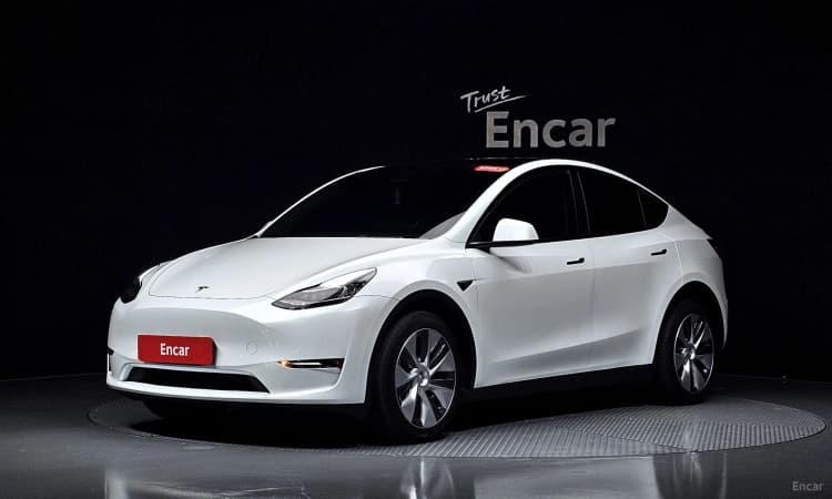 Model Y