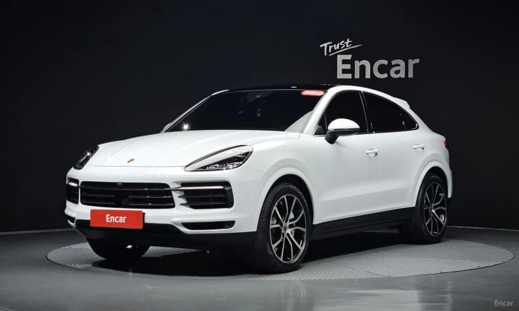 Cayenne (PO536)