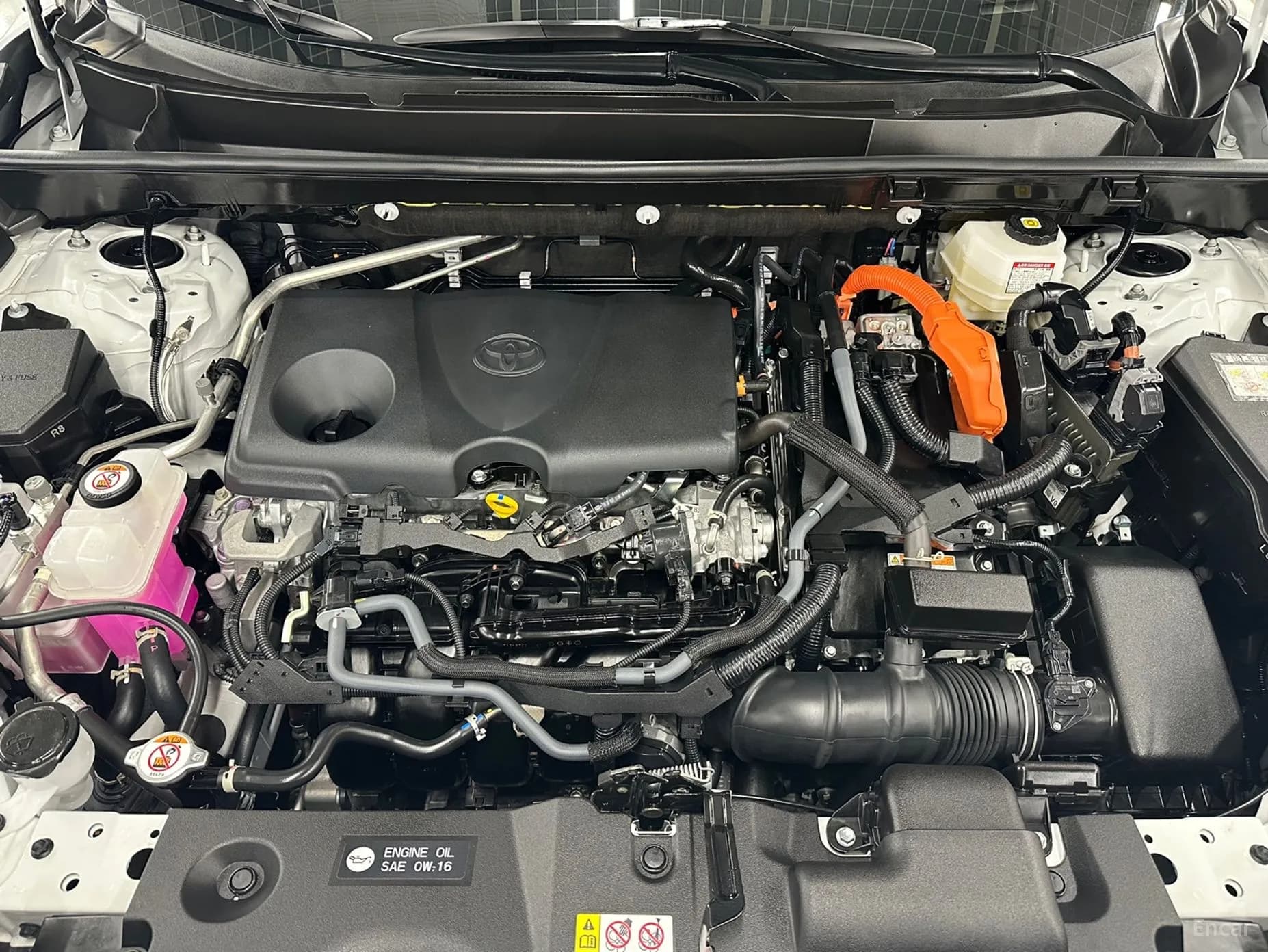 RAV4 5th Generation