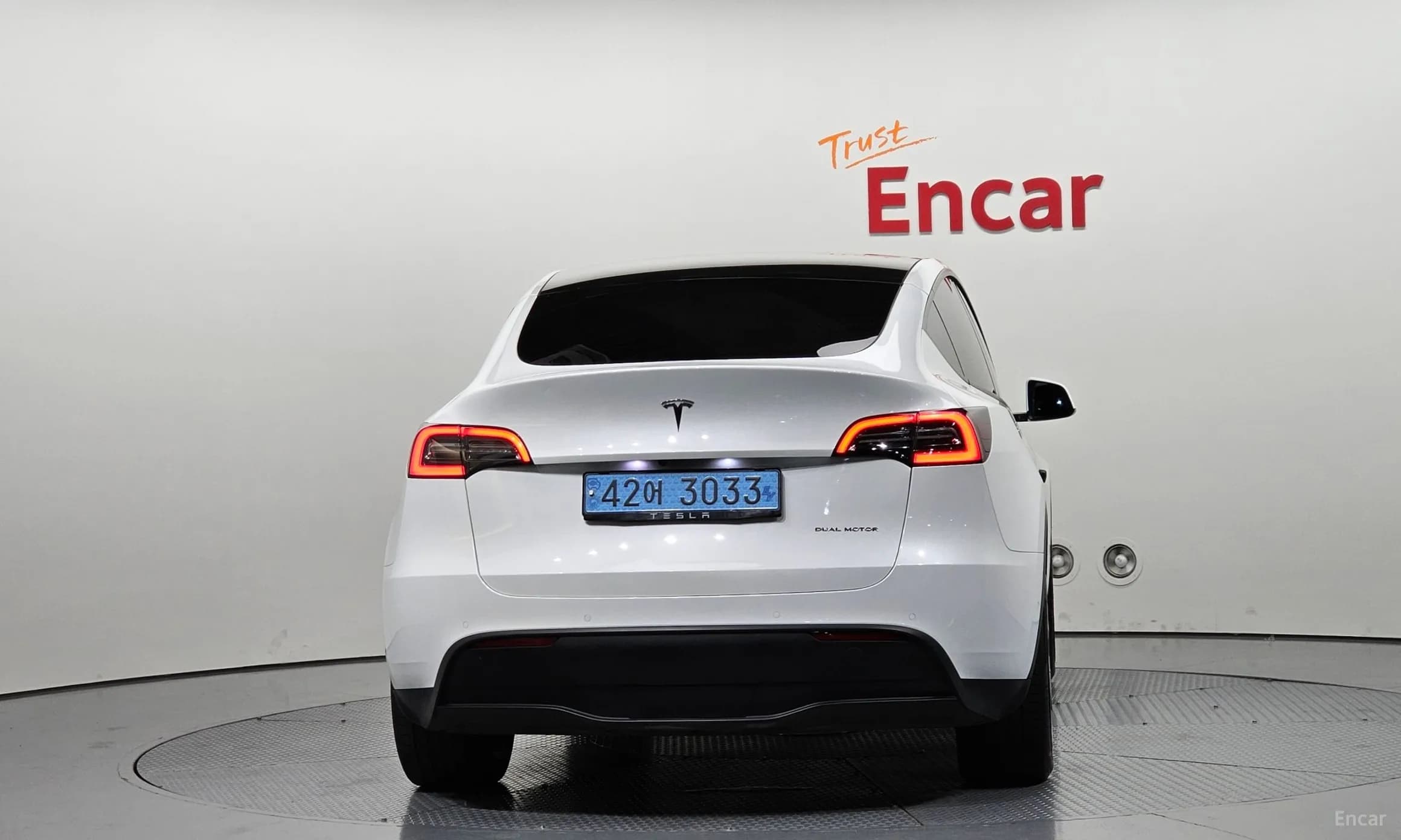 Model Y