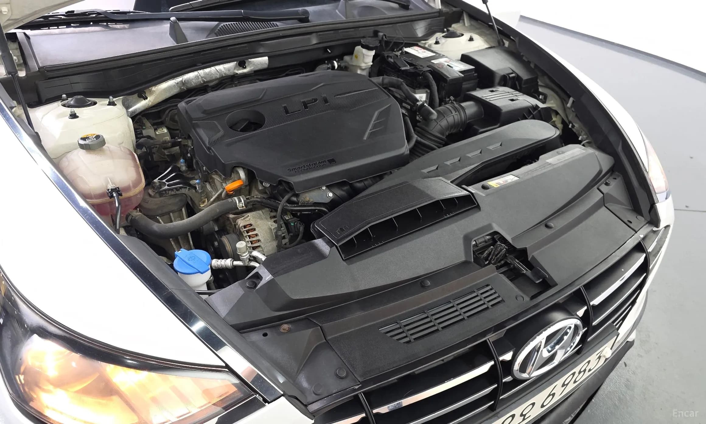 Sonata (DN8)