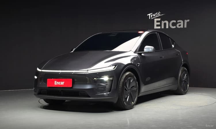 Model Y