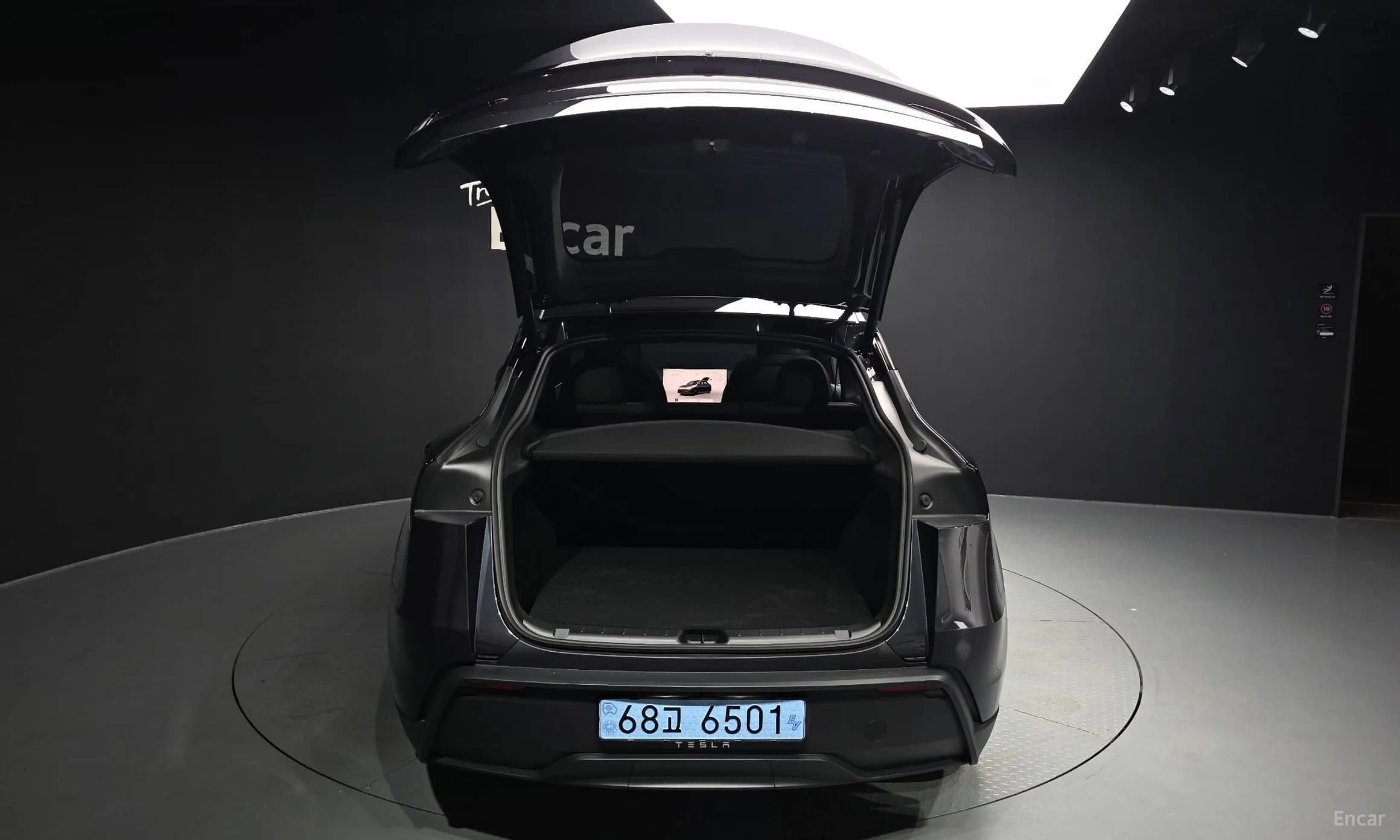 Model Y