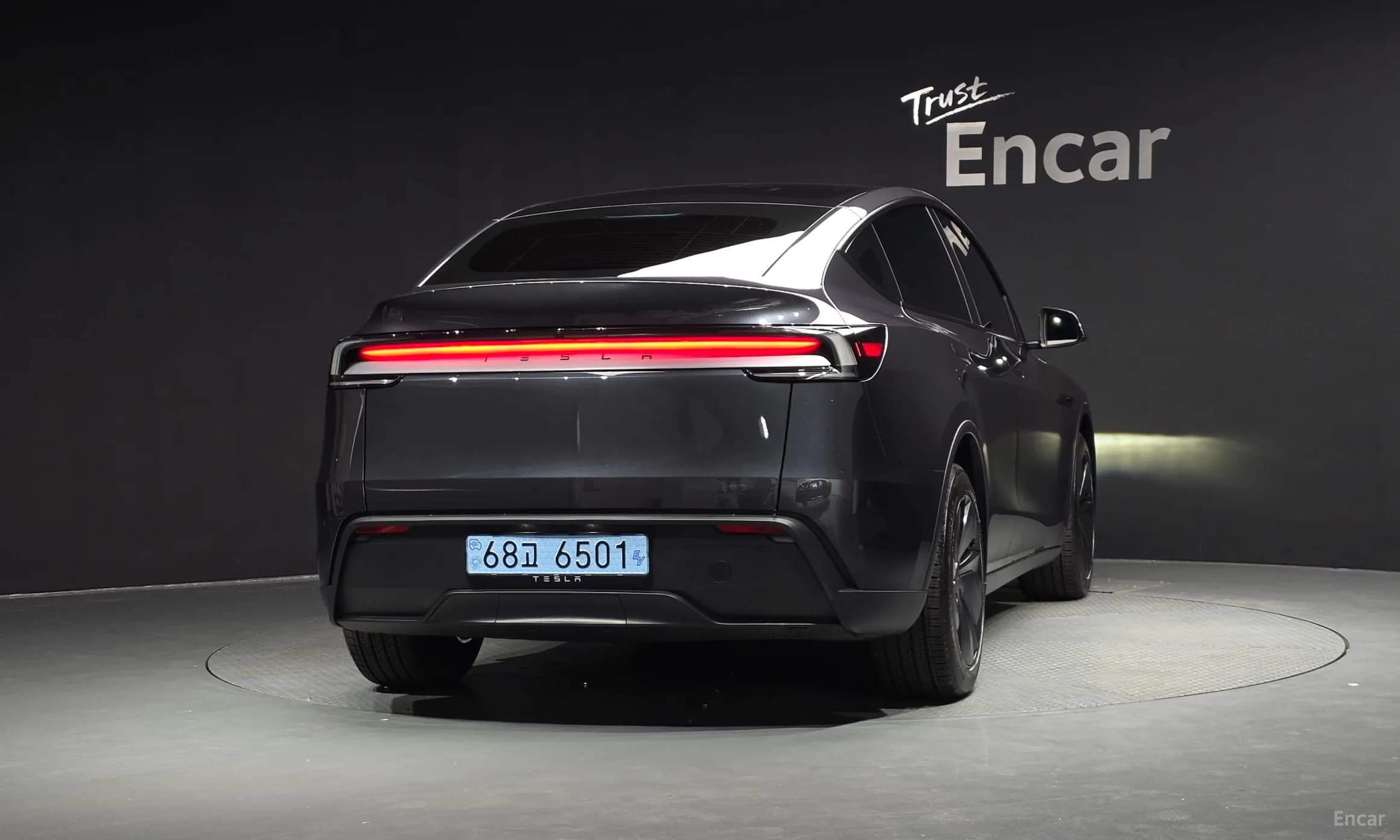 Model Y