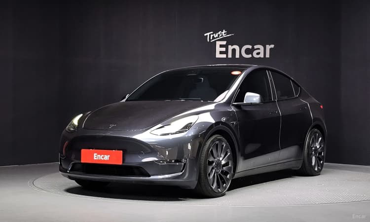 Model Y