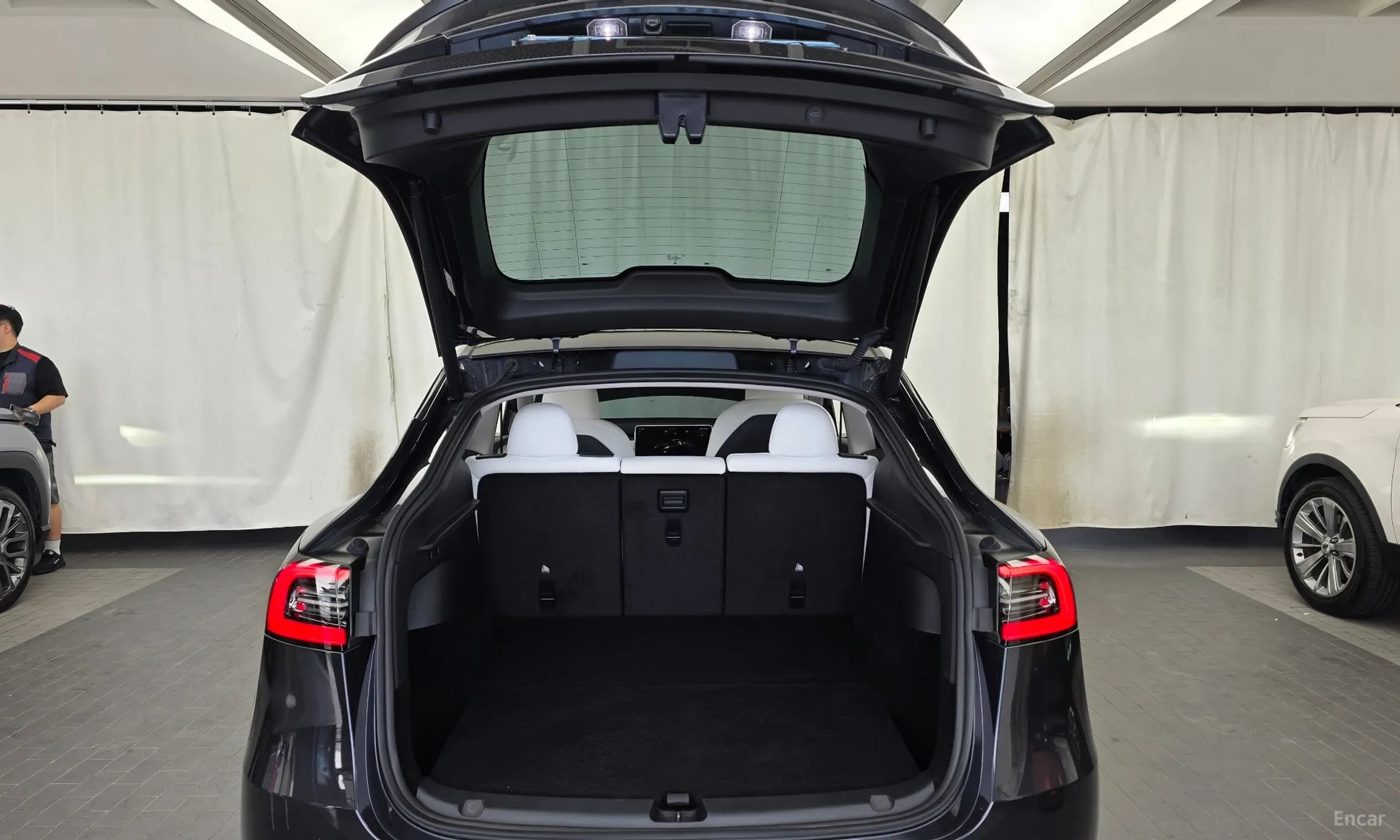 Model Y