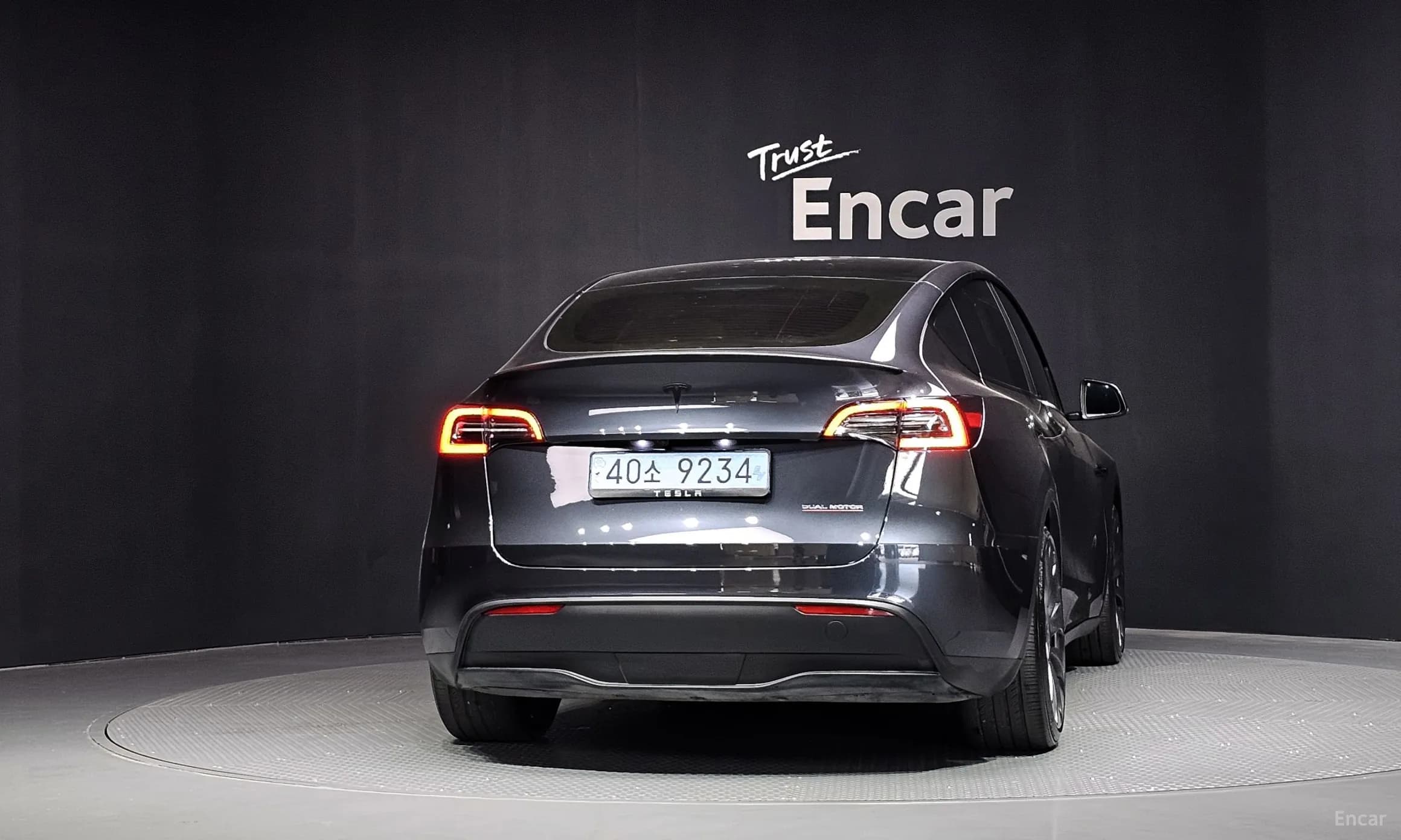 Model Y