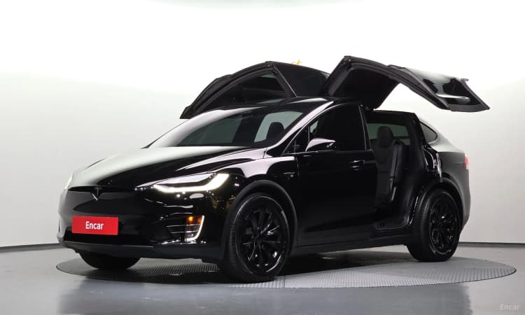 Model X