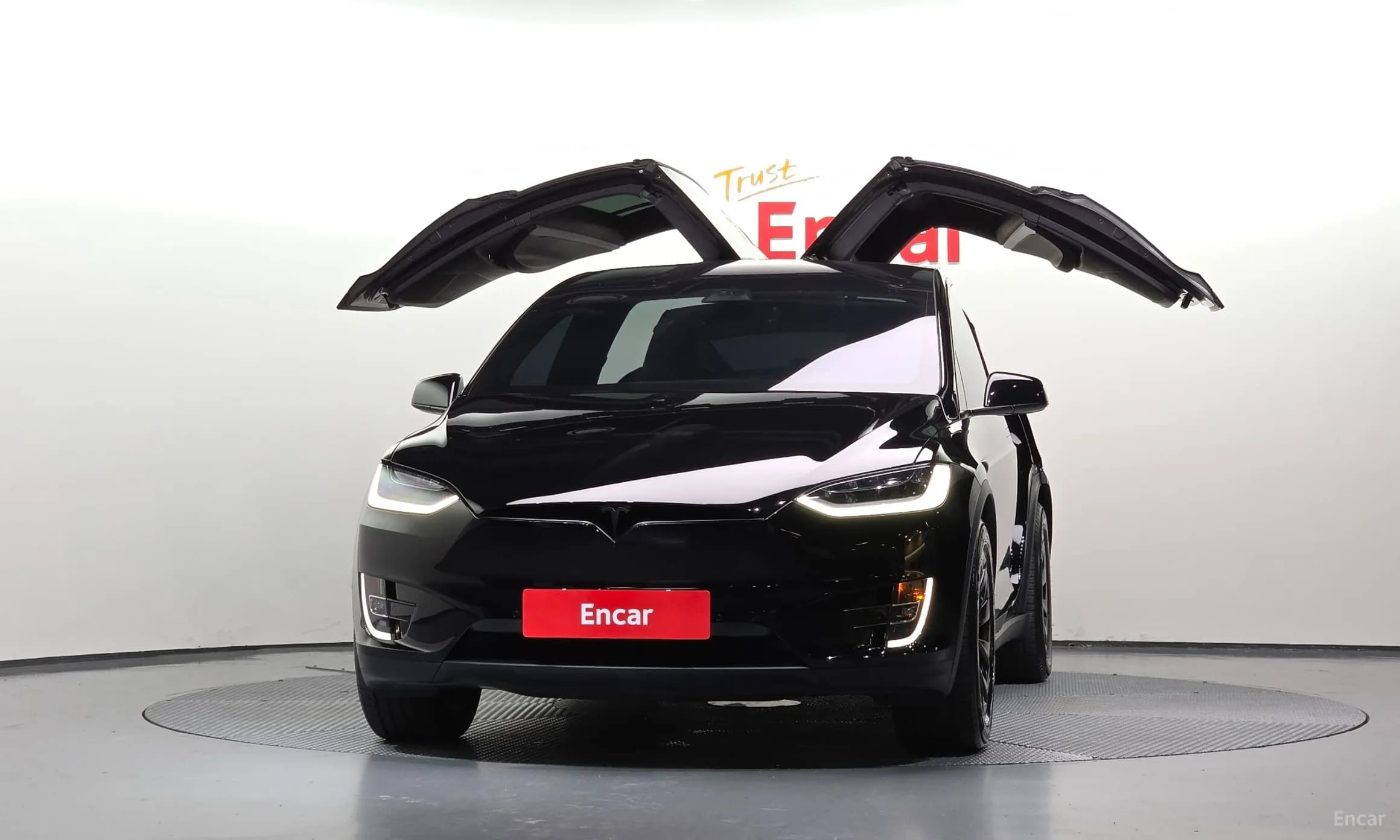Model X