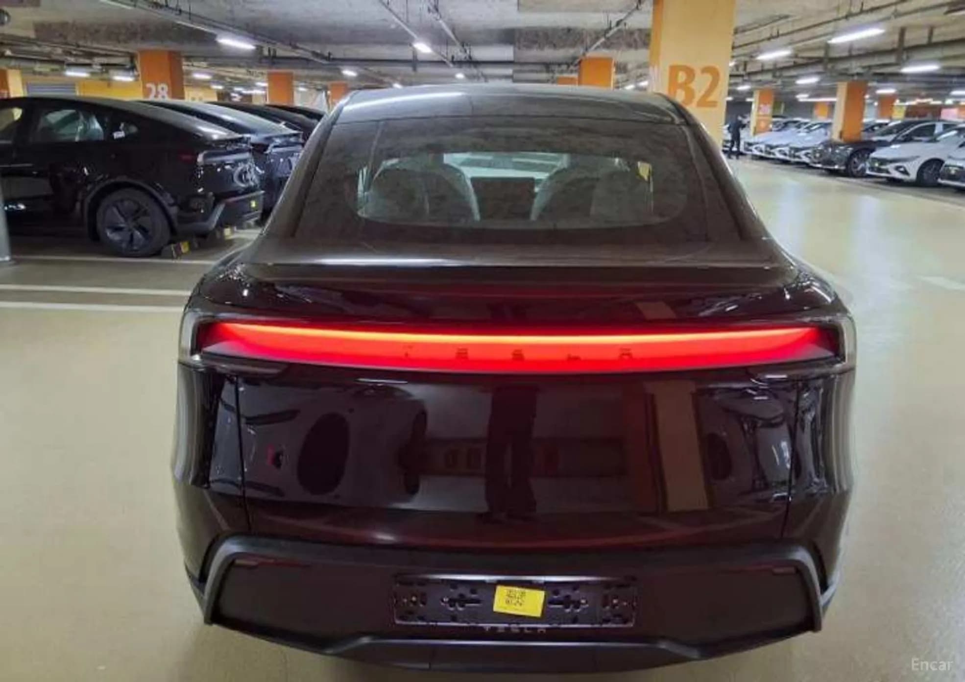 Model Y