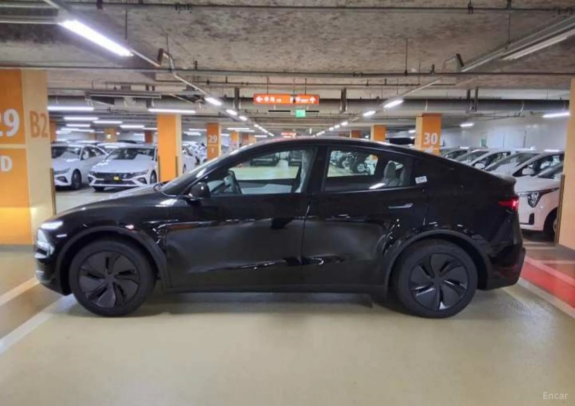 Model Y