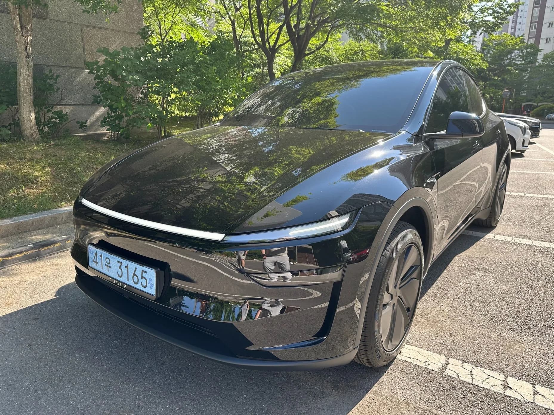 Model Y