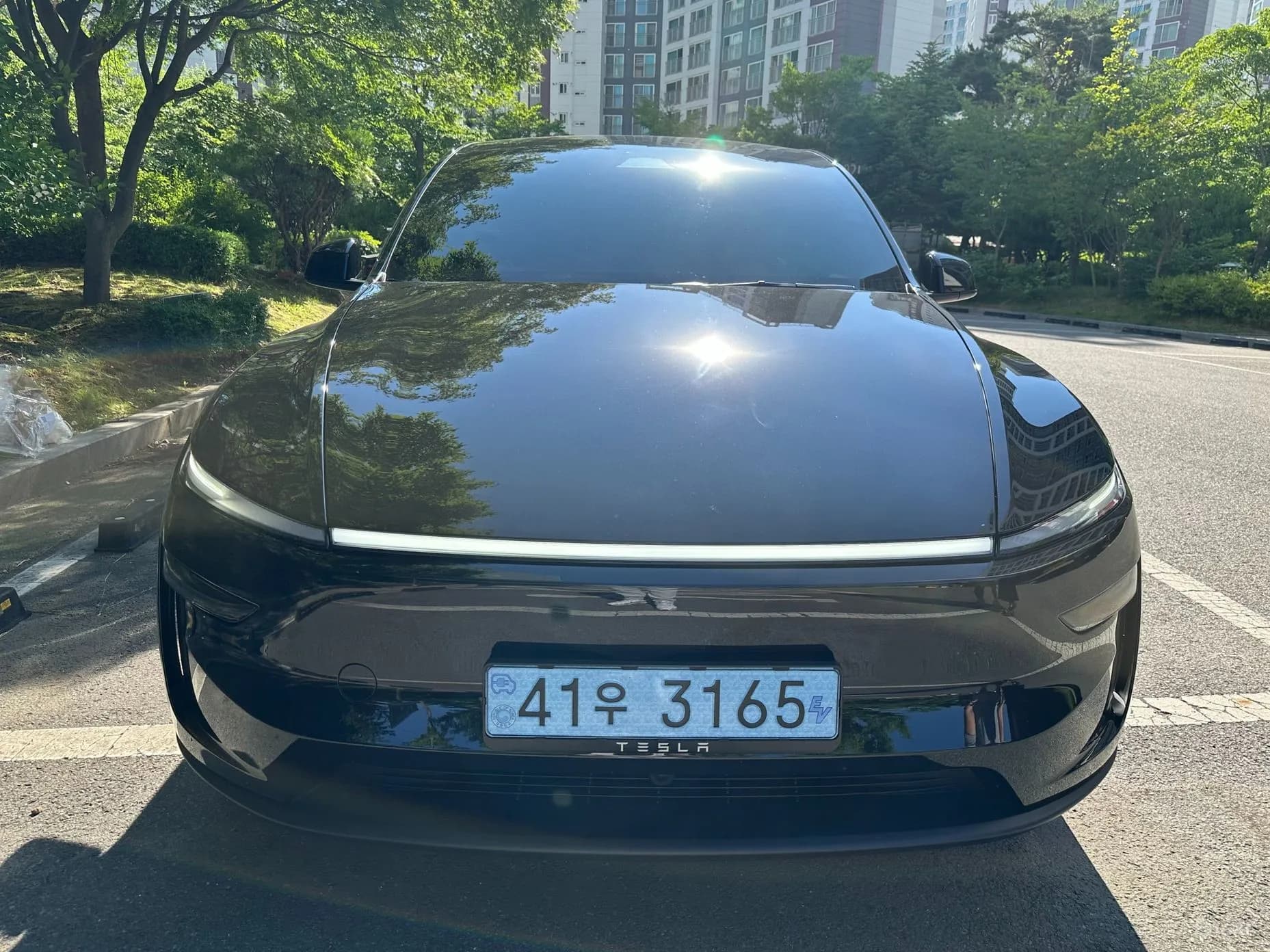 Model Y