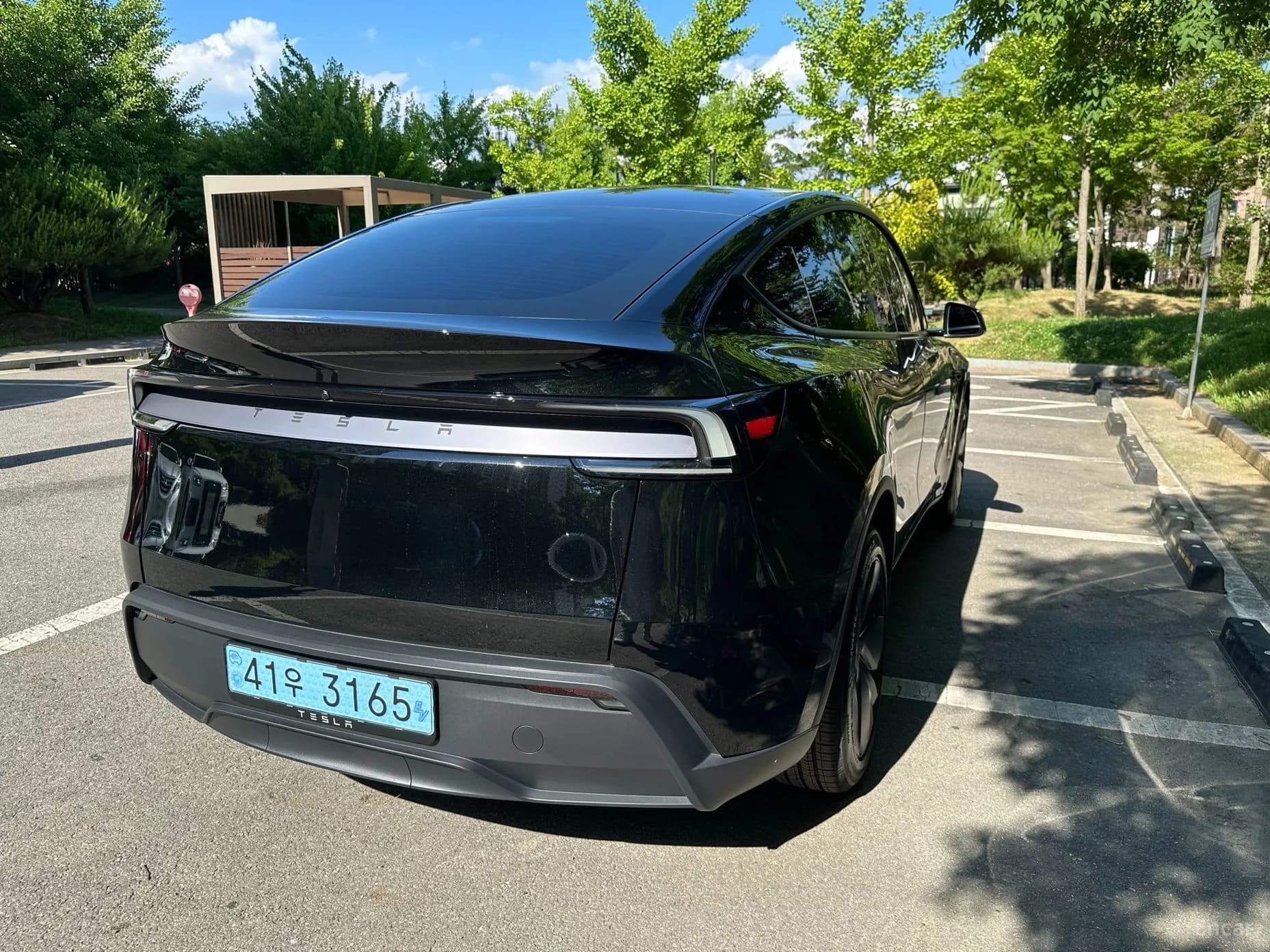 Model Y