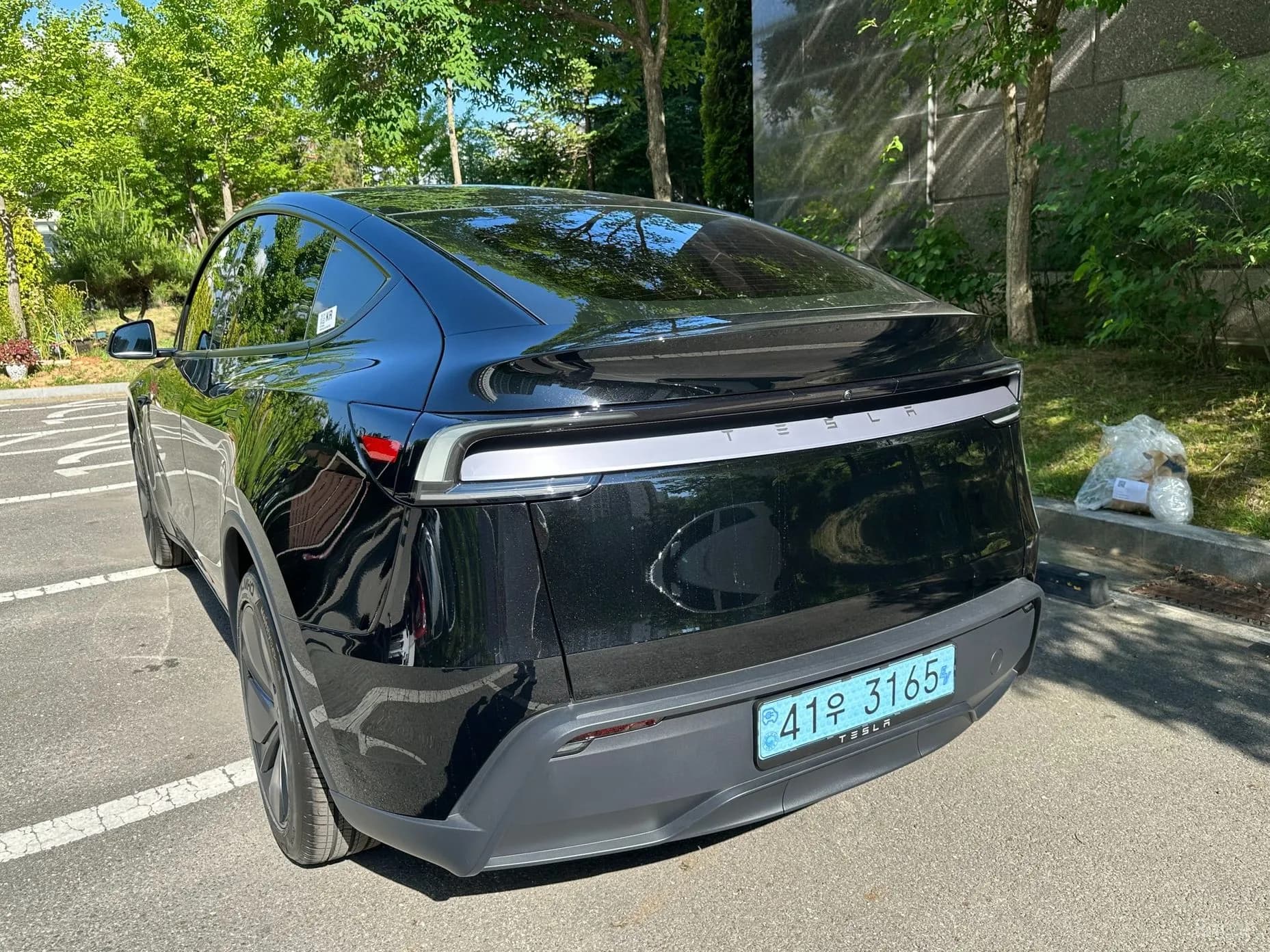 Model Y