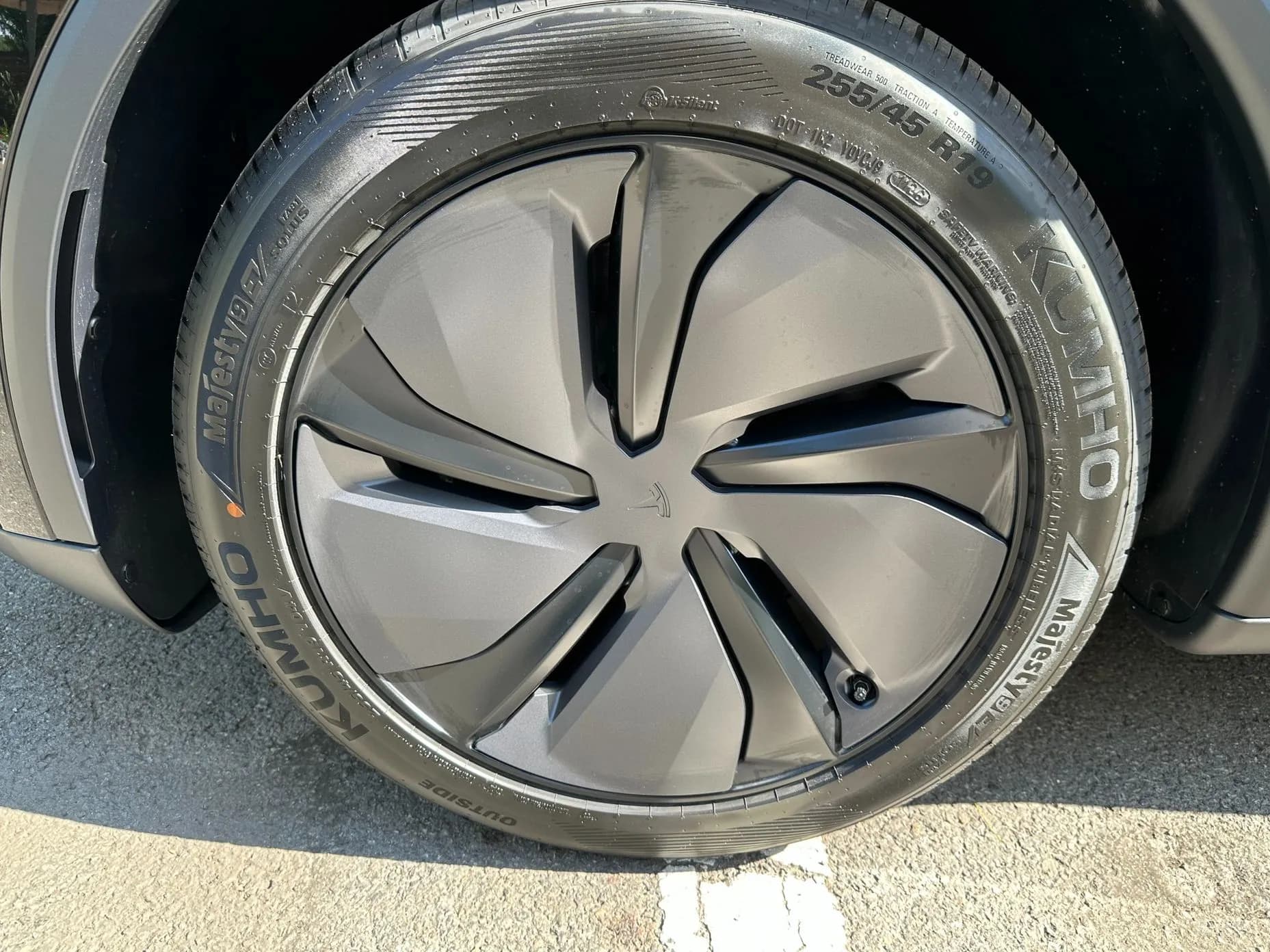 Model Y