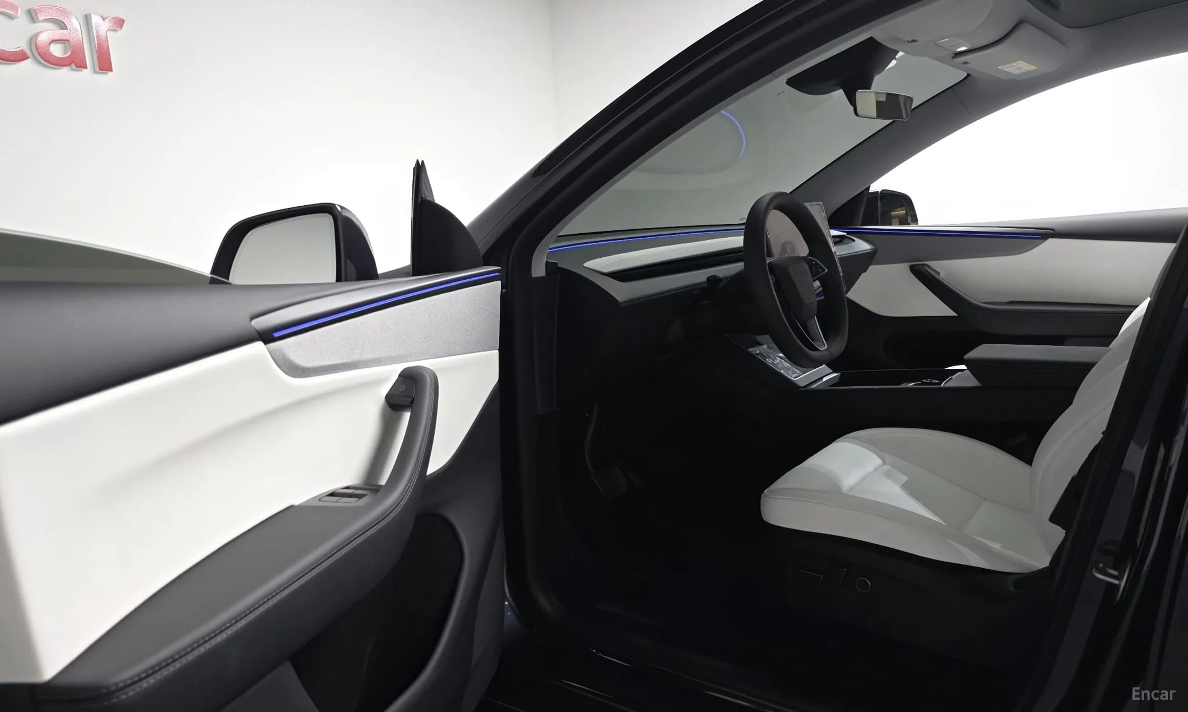 Model Y