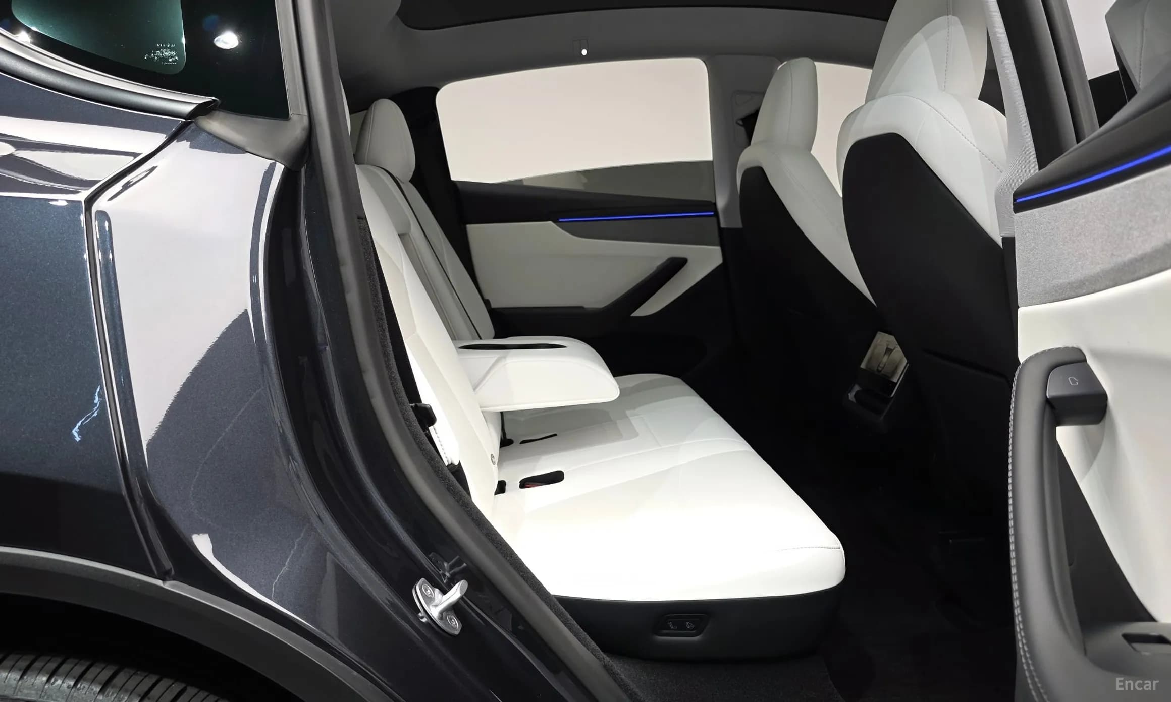 Model Y