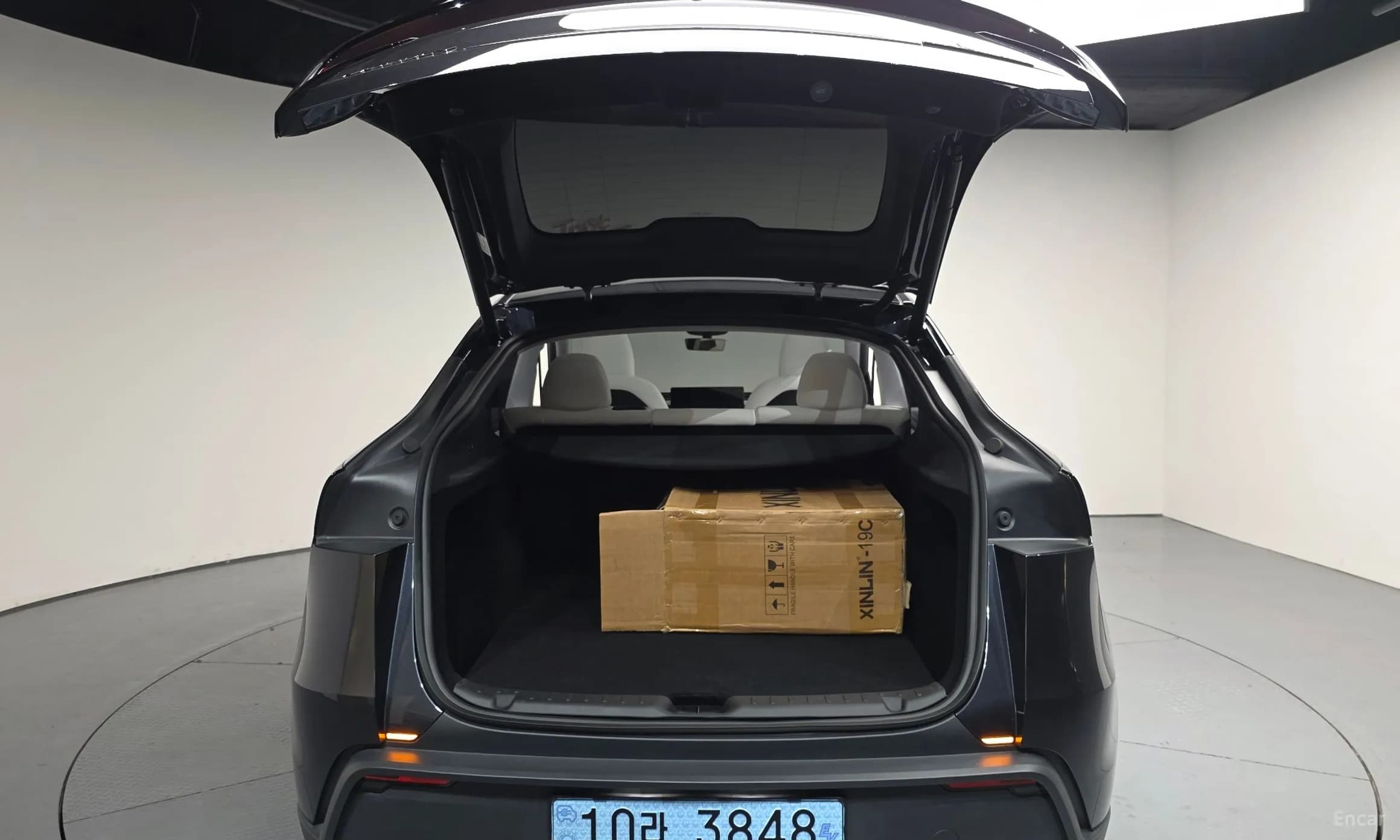 Model Y
