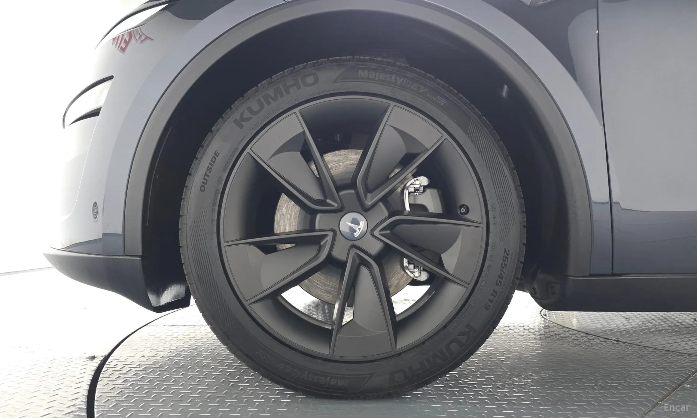 Model Y
