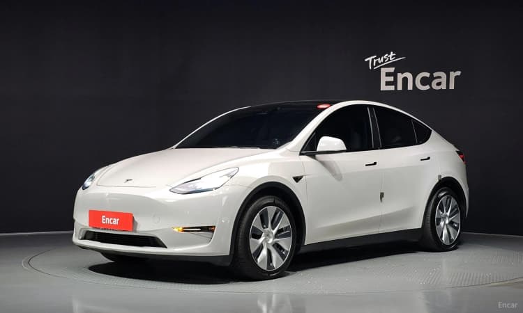 Model Y