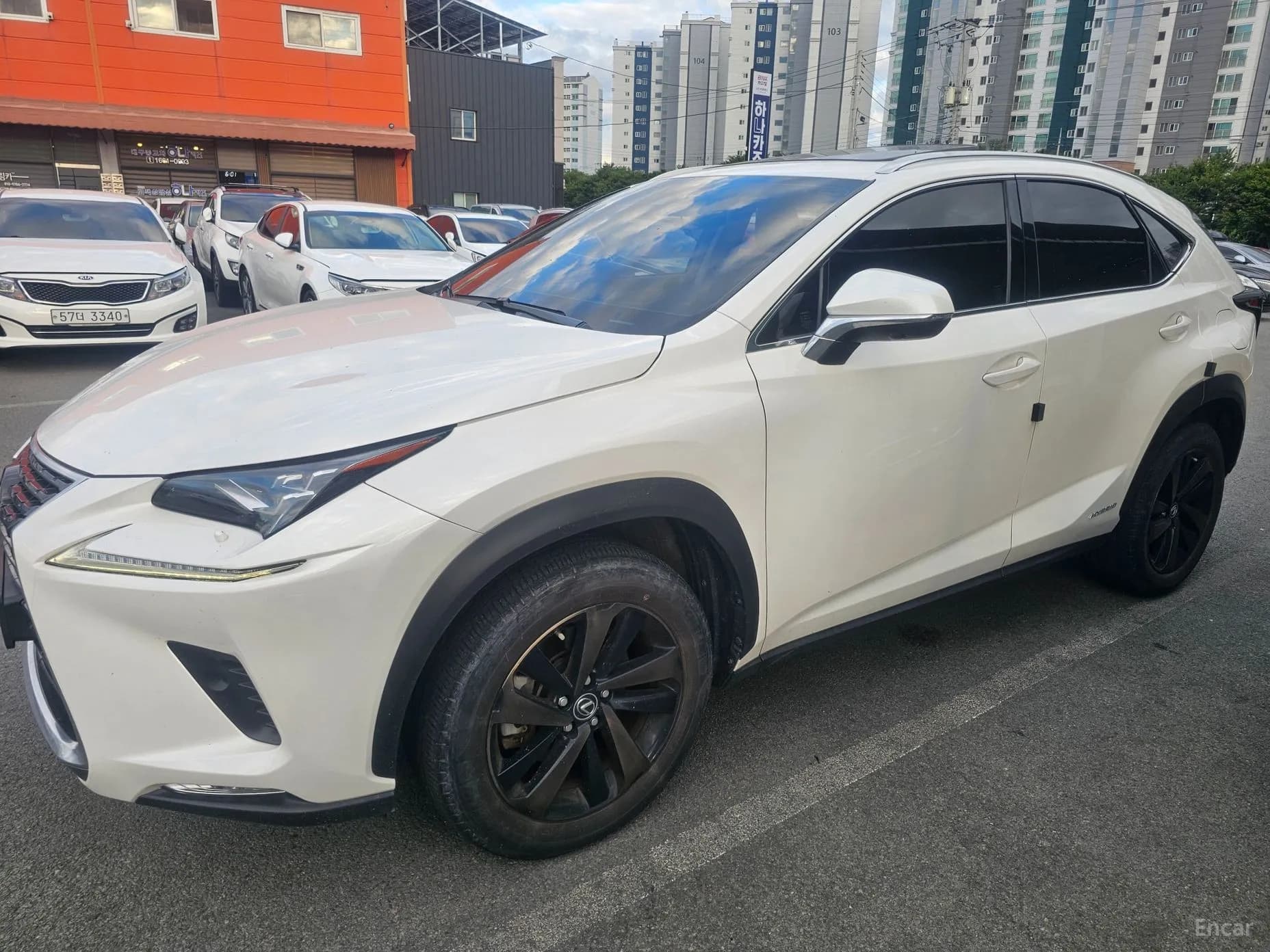 NX300h