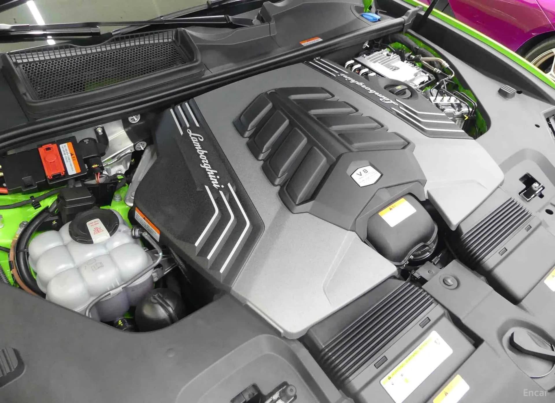 Urus