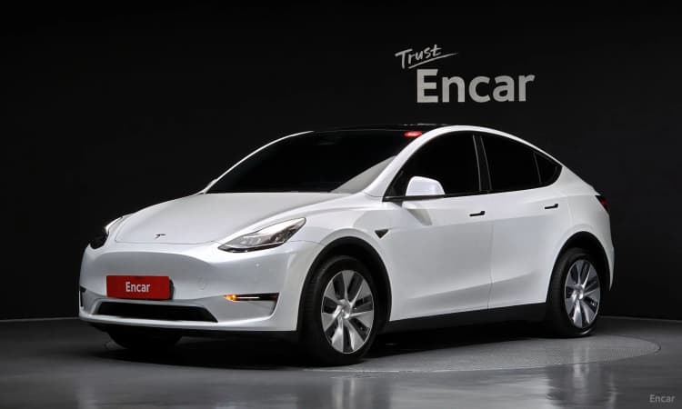 Model Y