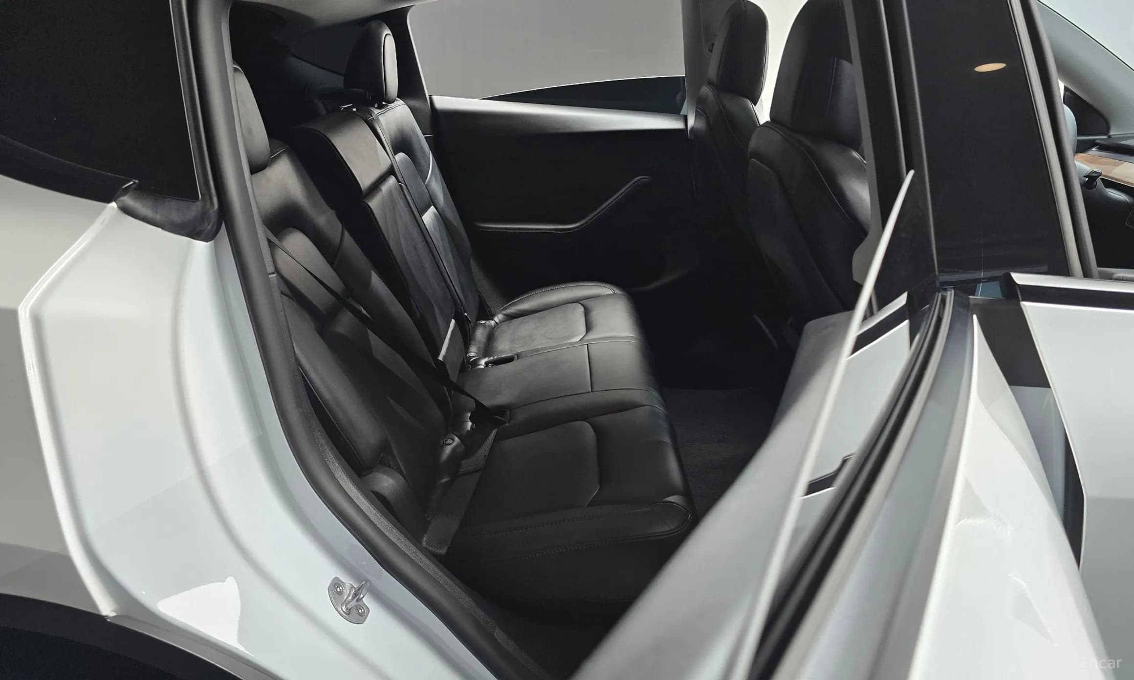 Model Y