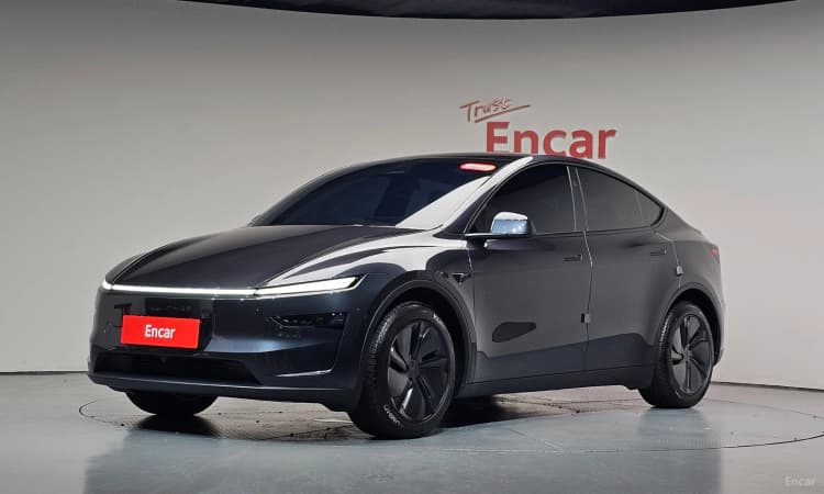 Model Y