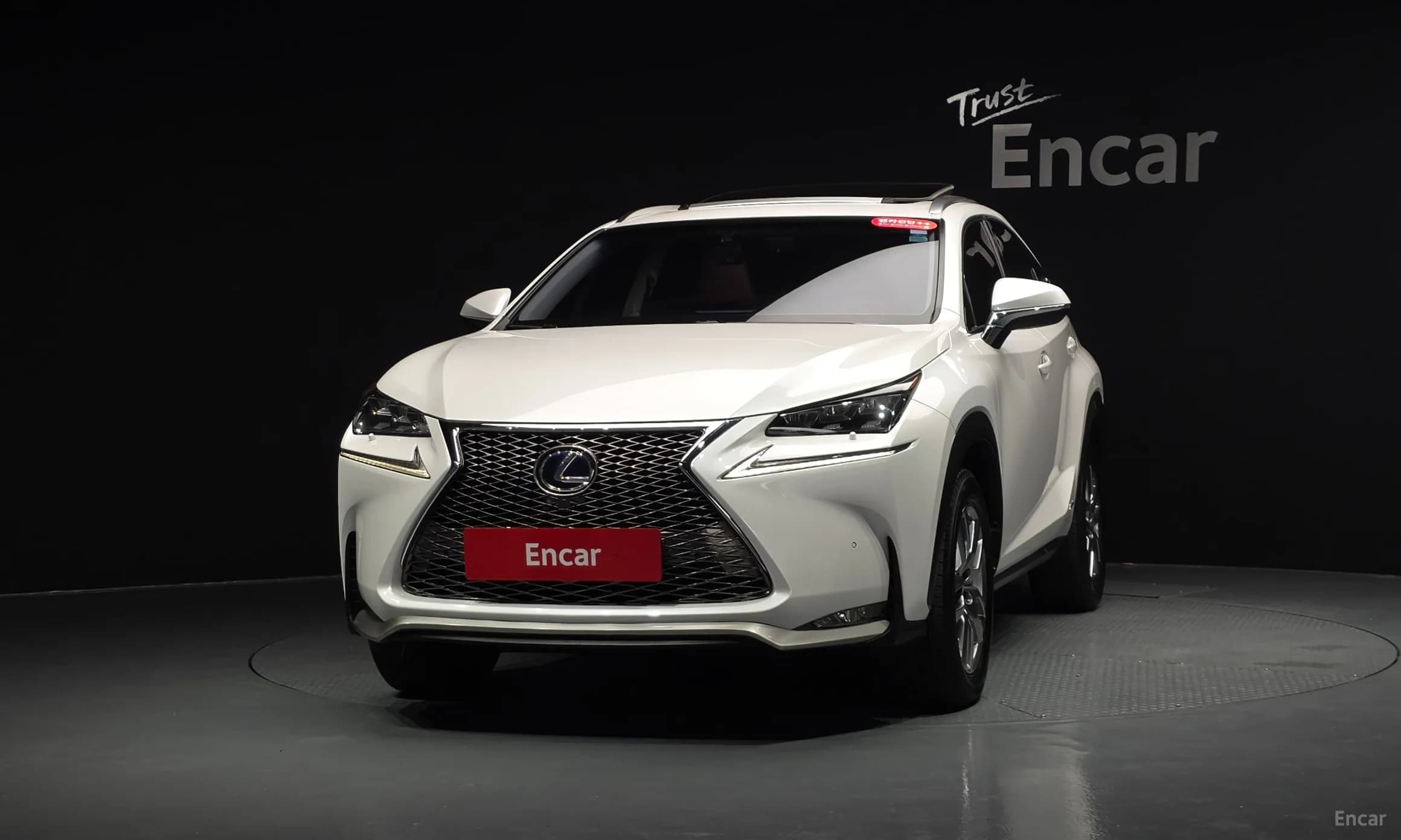 NX300h